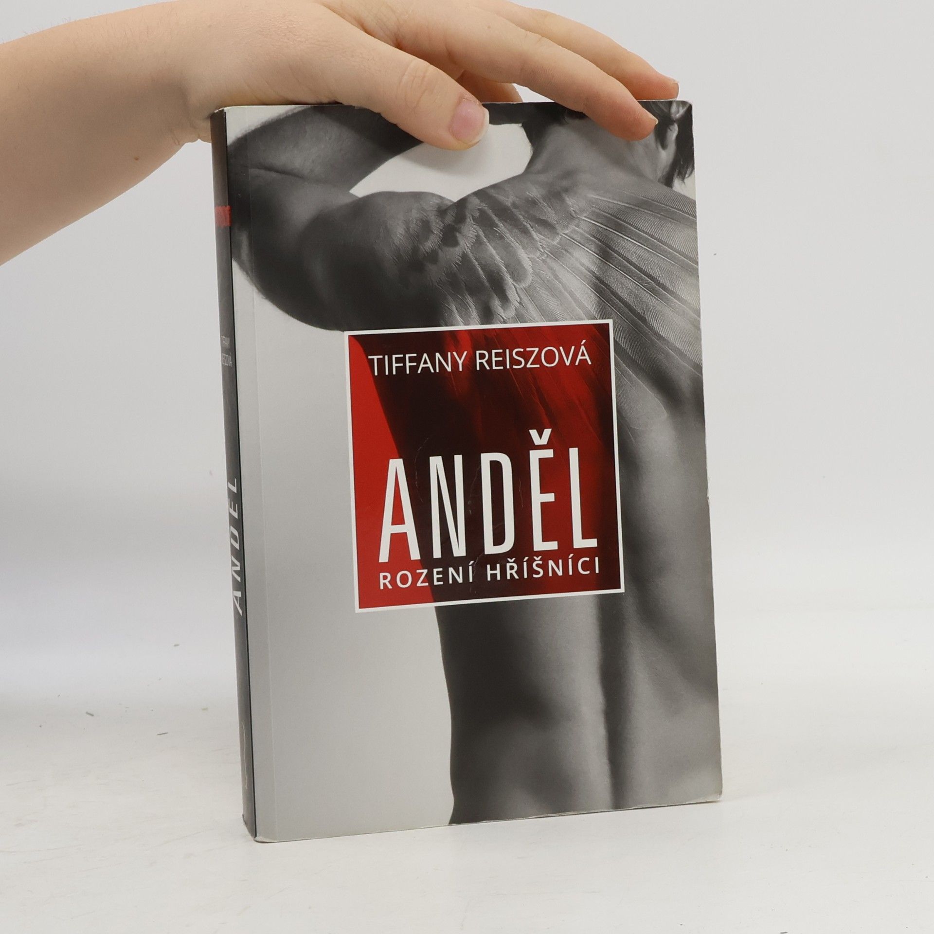Tiffany Reisz Anděl