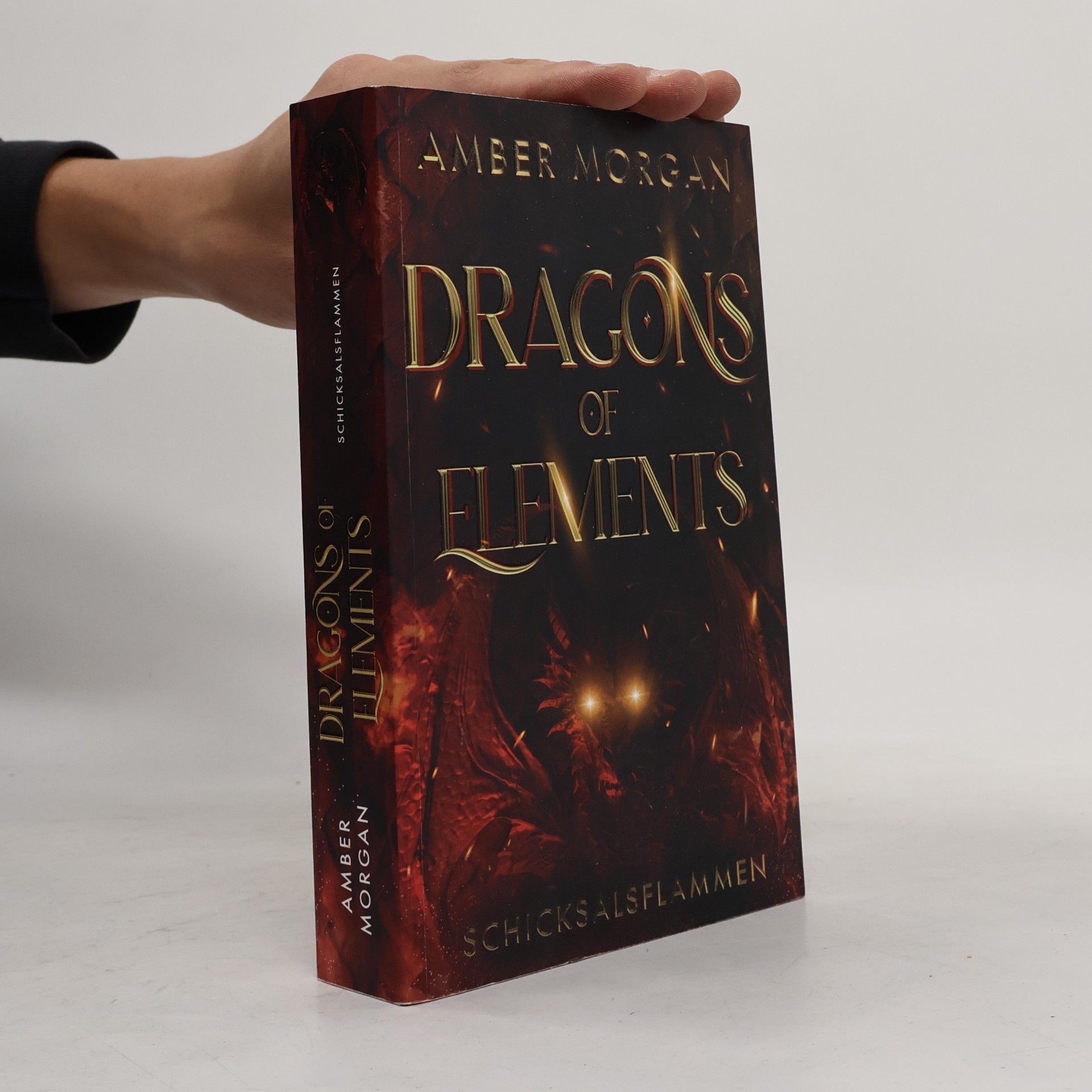 Amber Morgan Dragons of Elements