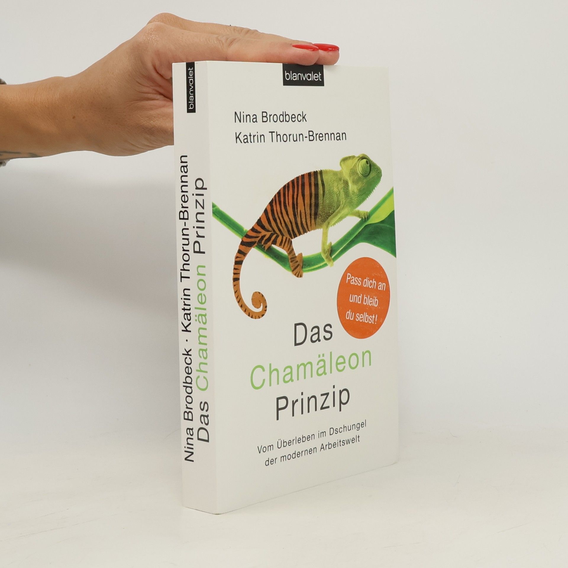 Nina Brodbeck Das Chamäleon-Prinzip