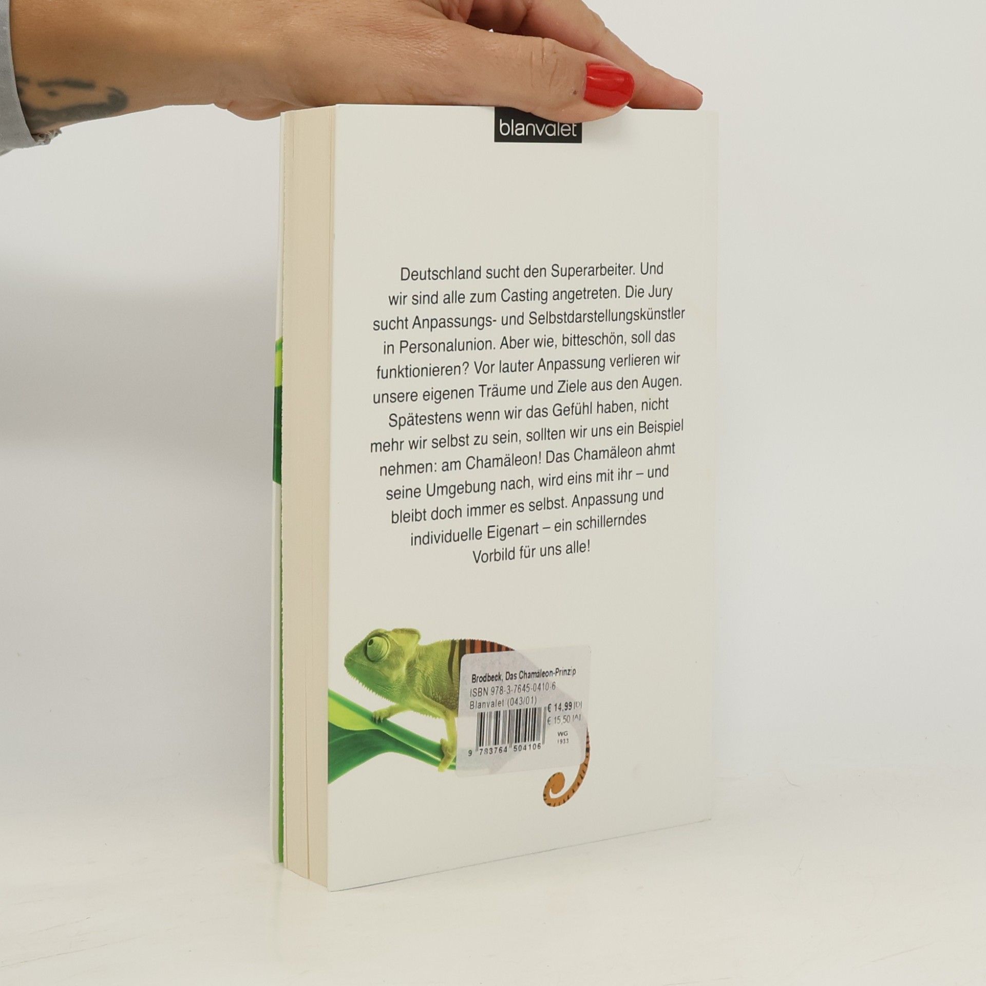 Nina Brodbeck Das Chamäleon-Prinzip