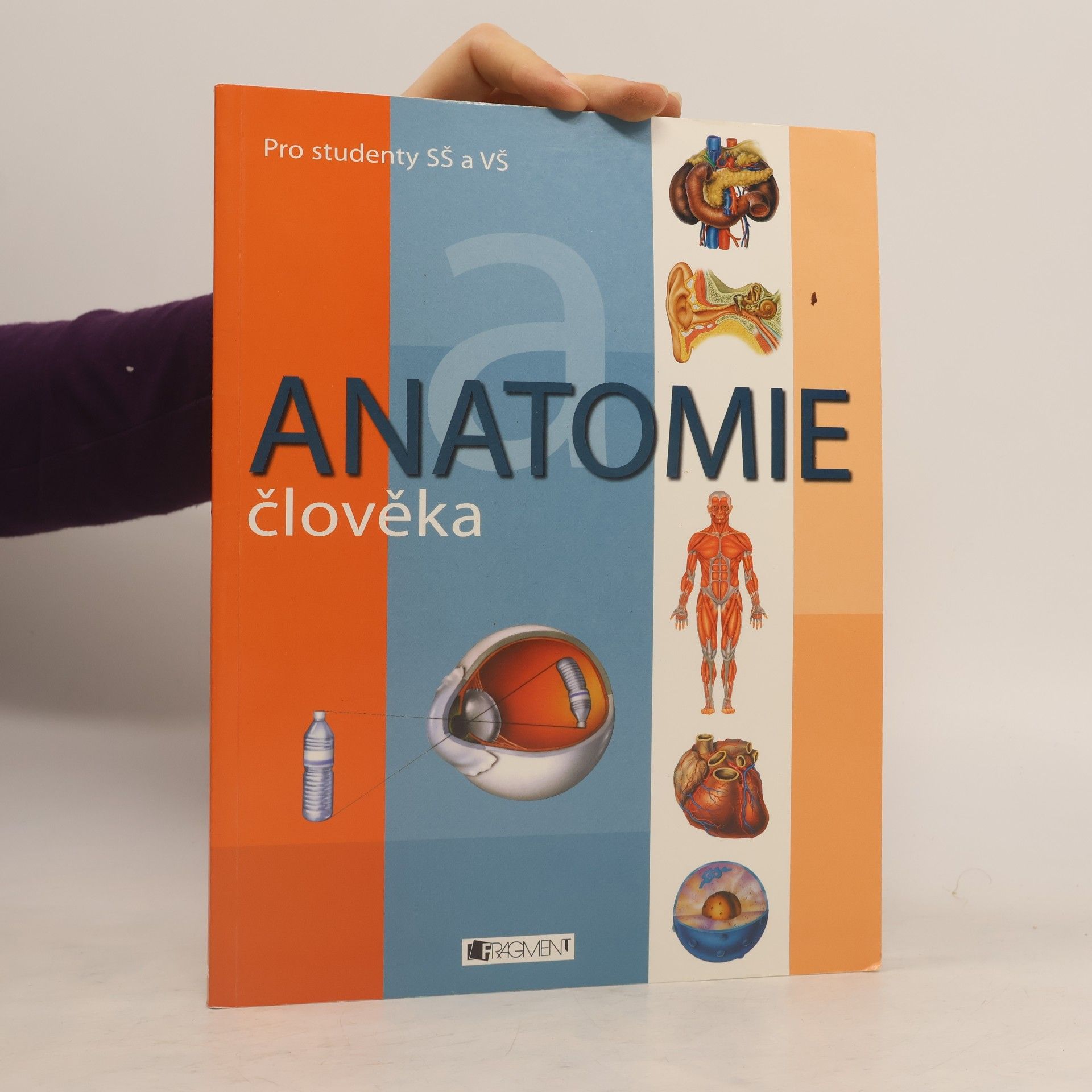 Adolfo Cassan Anatomie člověka