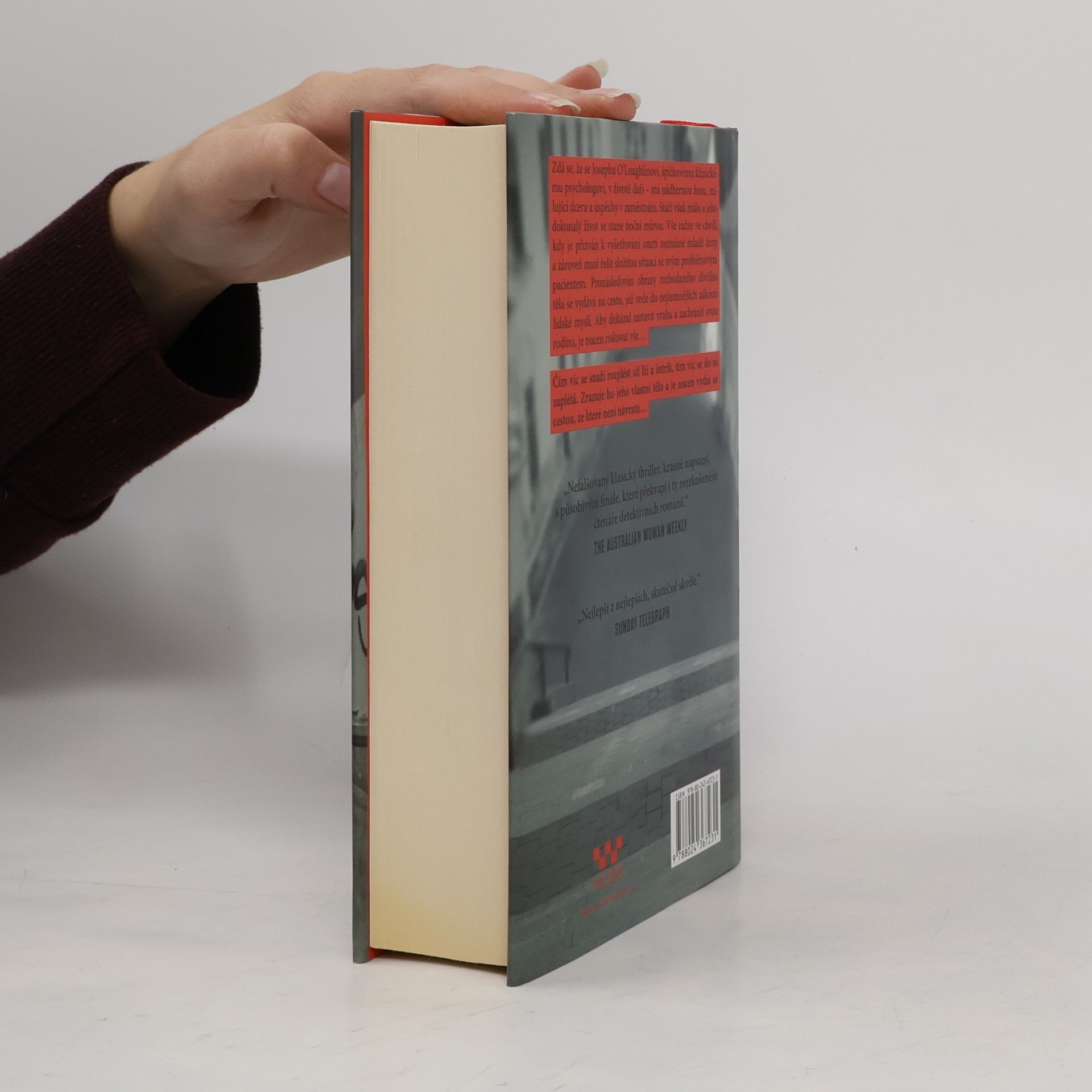 Michael Robotham V podezření