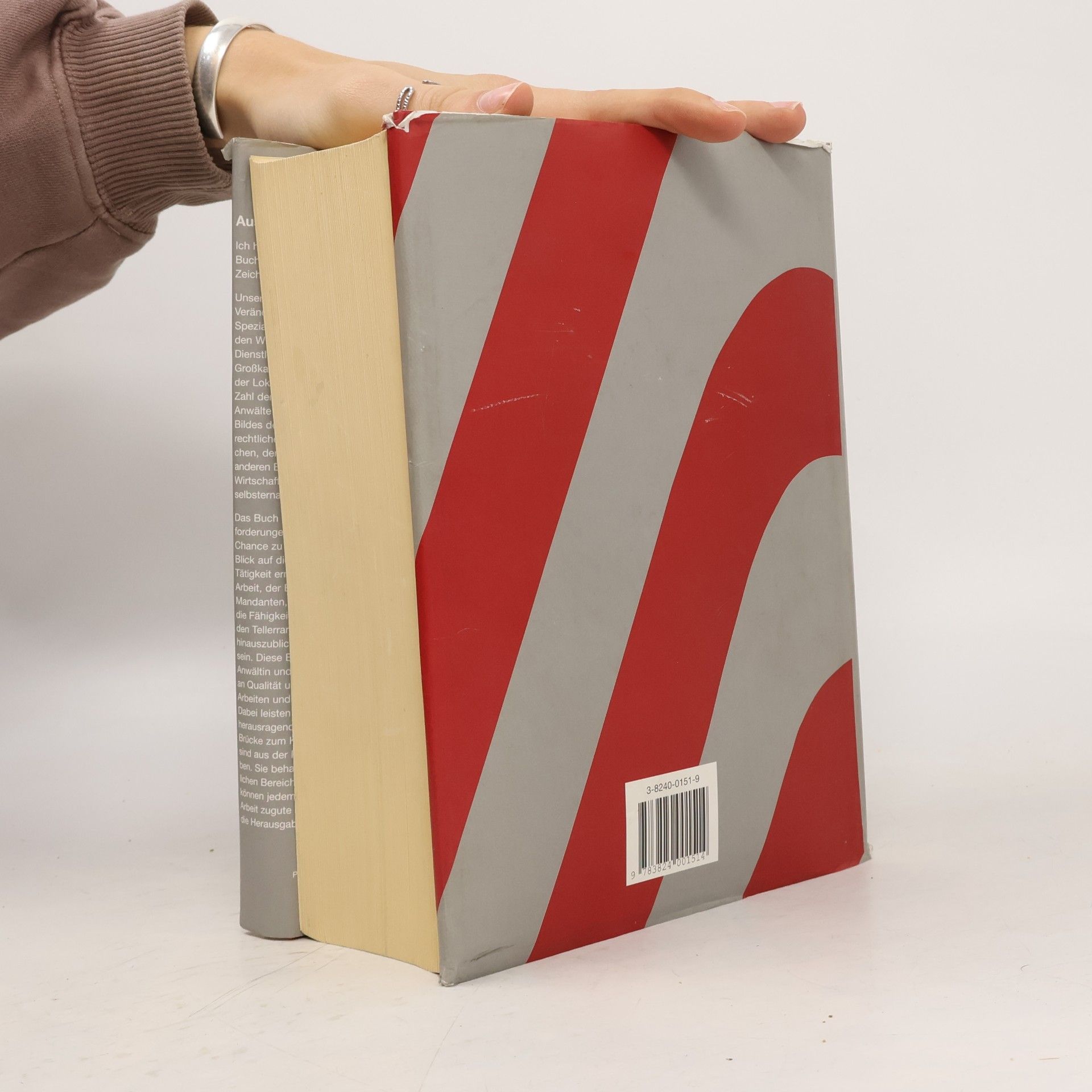 Thomas Heidel AnwaltFormulare Schriftsätze, Verträge, Erläuterungen - Enthält eine CD-ROM mit über 800 Mustern