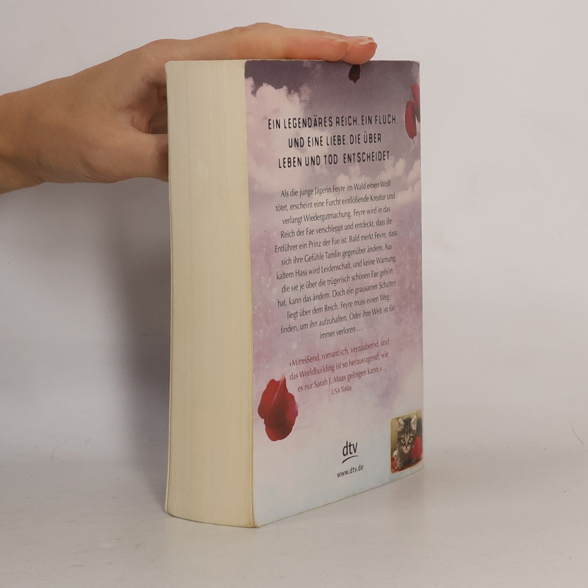 Sarah J. Maas Das Reich der sieben Höfe. Dornen und Rosen