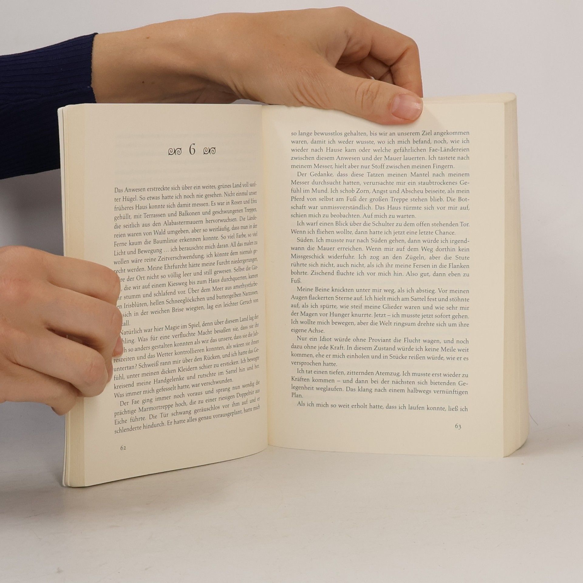Sarah J. Maas Das Reich der sieben Höfe. Dornen und Rosen