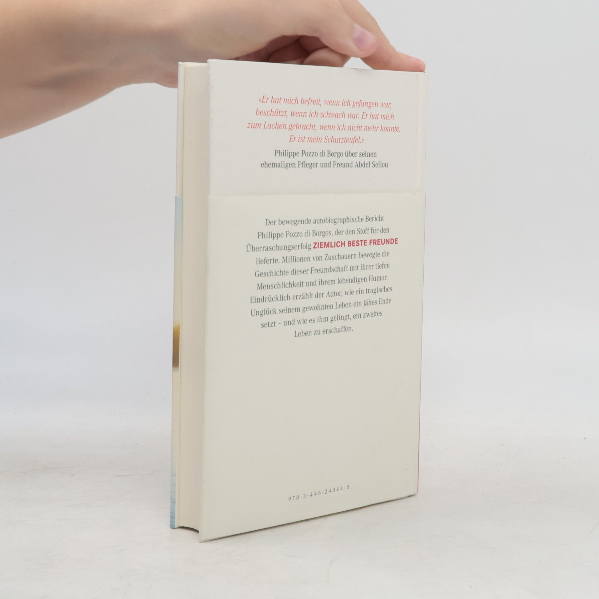 Philippe Pozzo Di Borgo Ziemlich beste Freunde