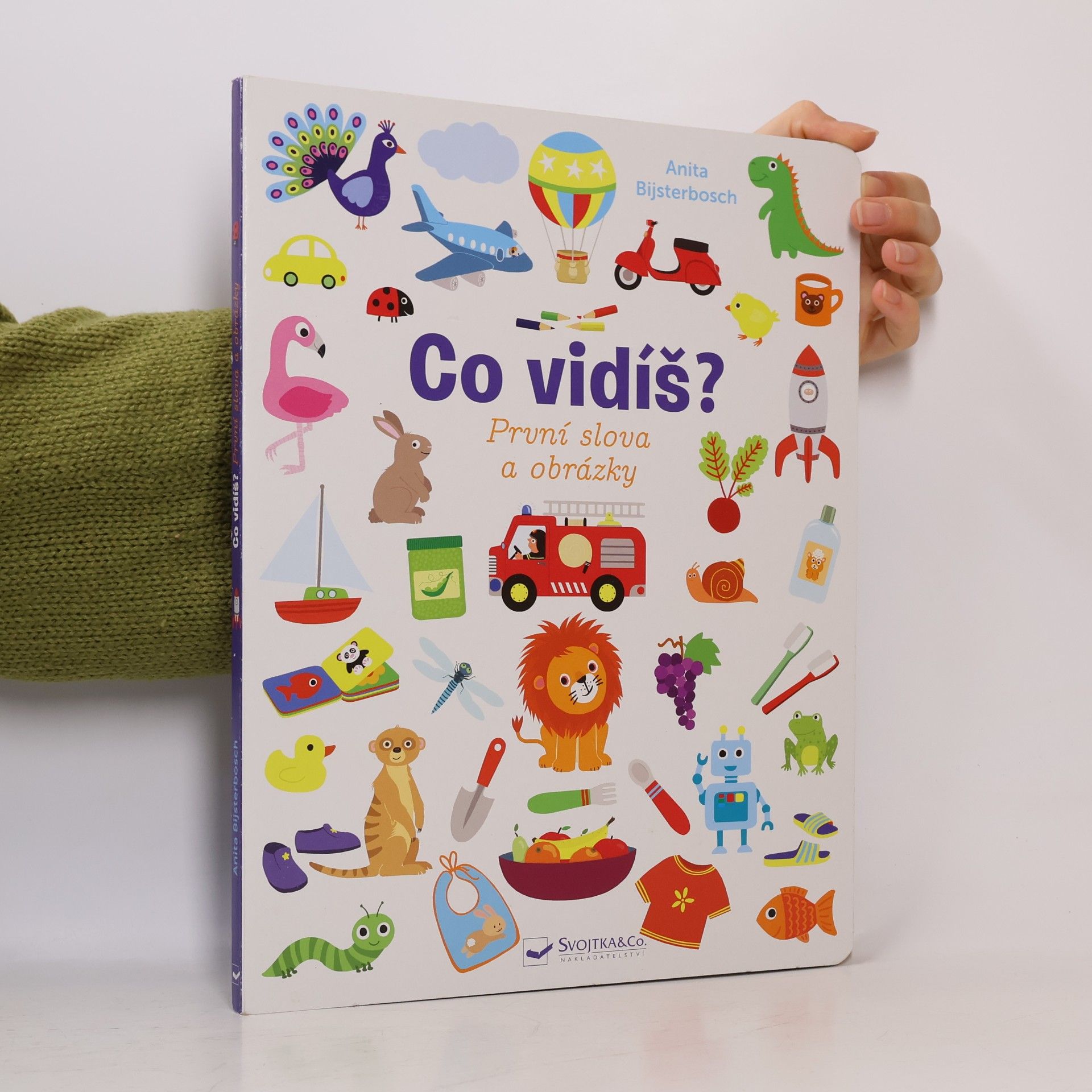 Anita Bijsterbosch Co vidíš? První slova a obrázky