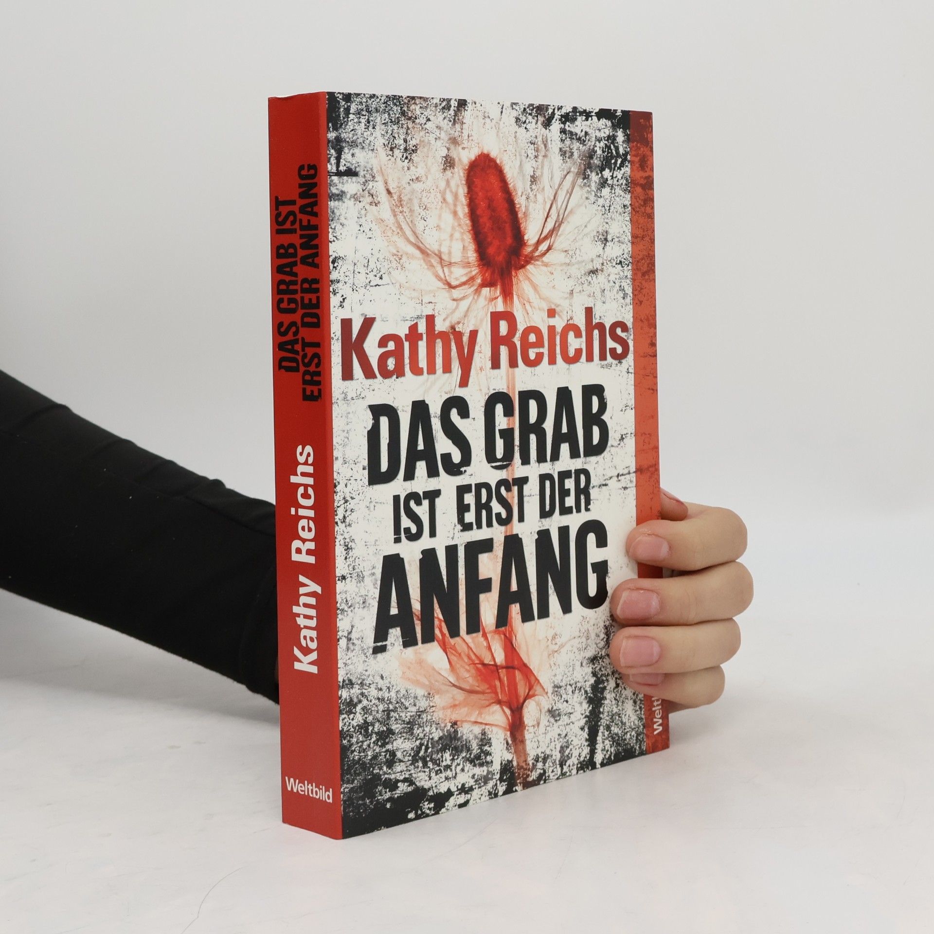 Das Grab ist erst der Anfang