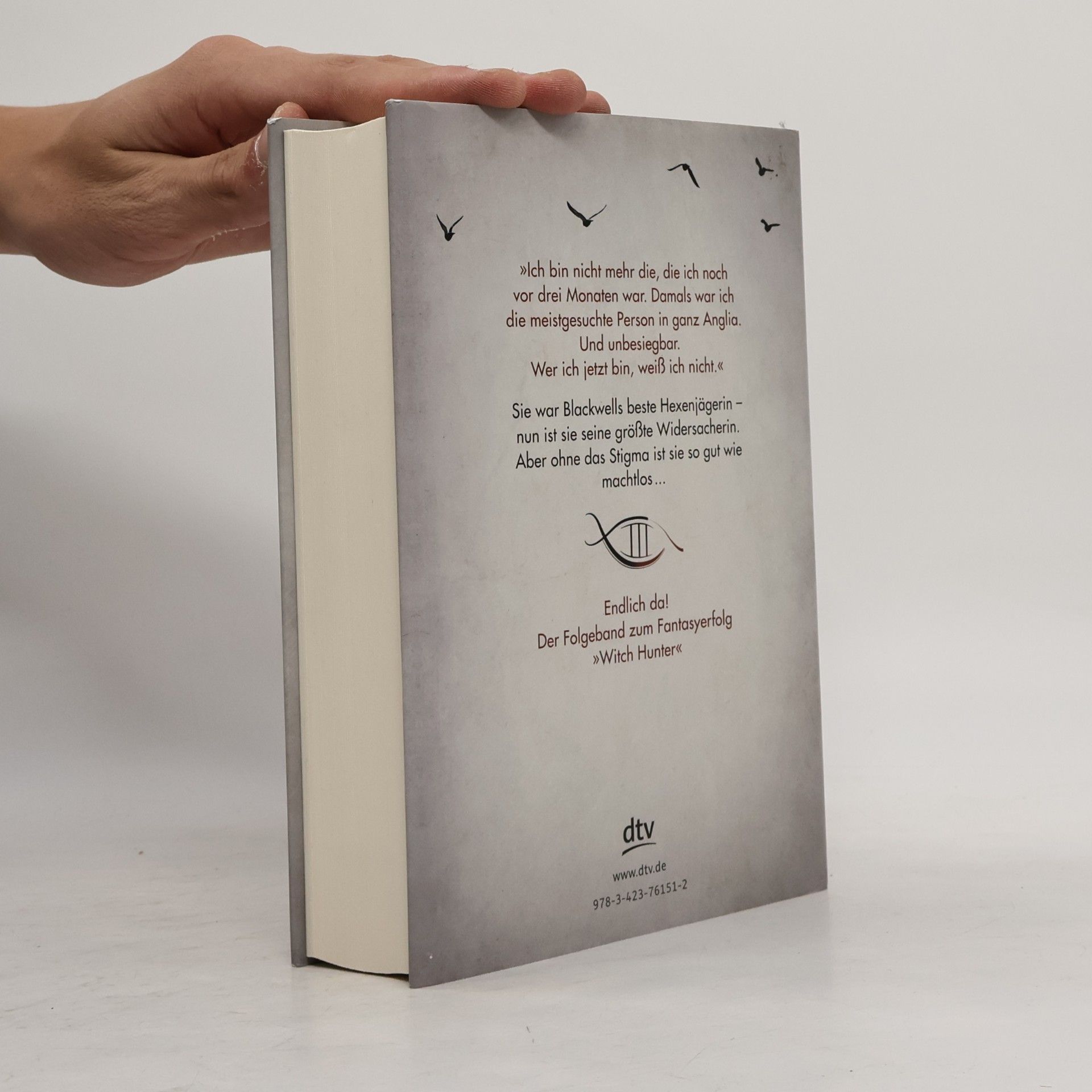 Virginia Boecker Witch Hunter - Herz aus Dunkelheit