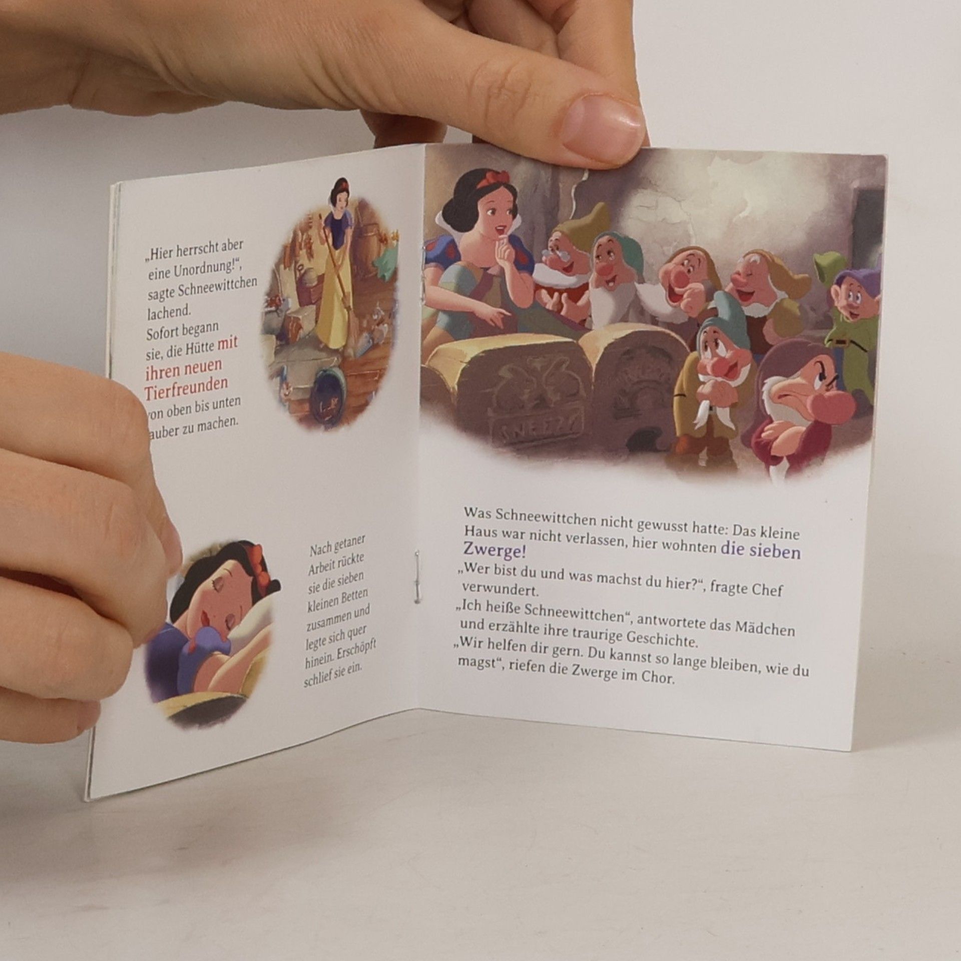 Autorenkollektiv Nelson Mini-Bücher: Disney Prinzessin 21-24