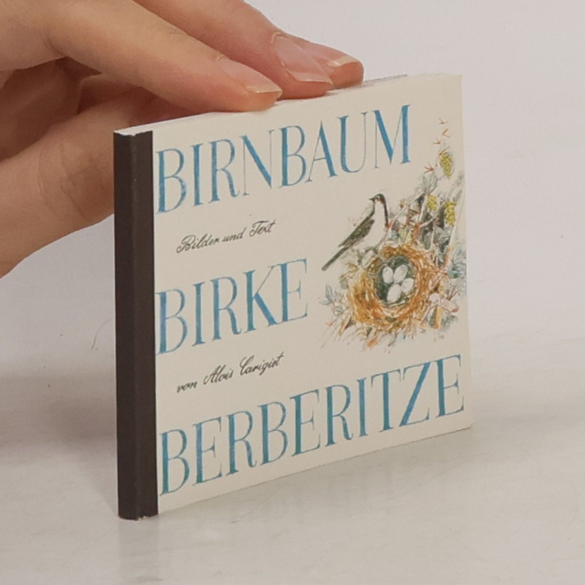 Alois Carigiet Birnbaum, Birke, Berberitze, Mini - Mindestbestellmenge 5 Exemplare