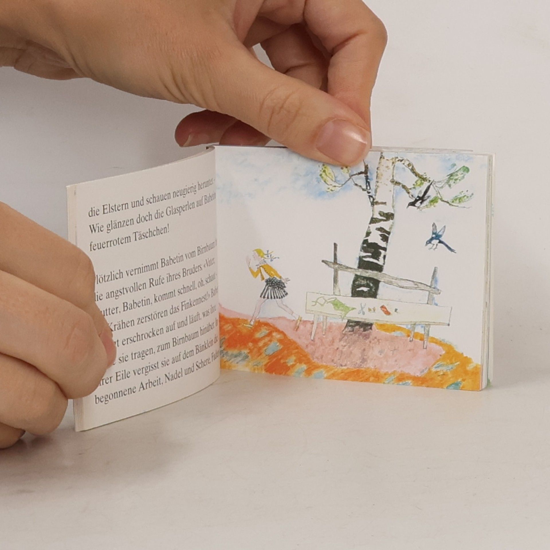Alois Carigiet Birnbaum, Birke, Berberitze, Mini - Mindestbestellmenge 5 Exemplare