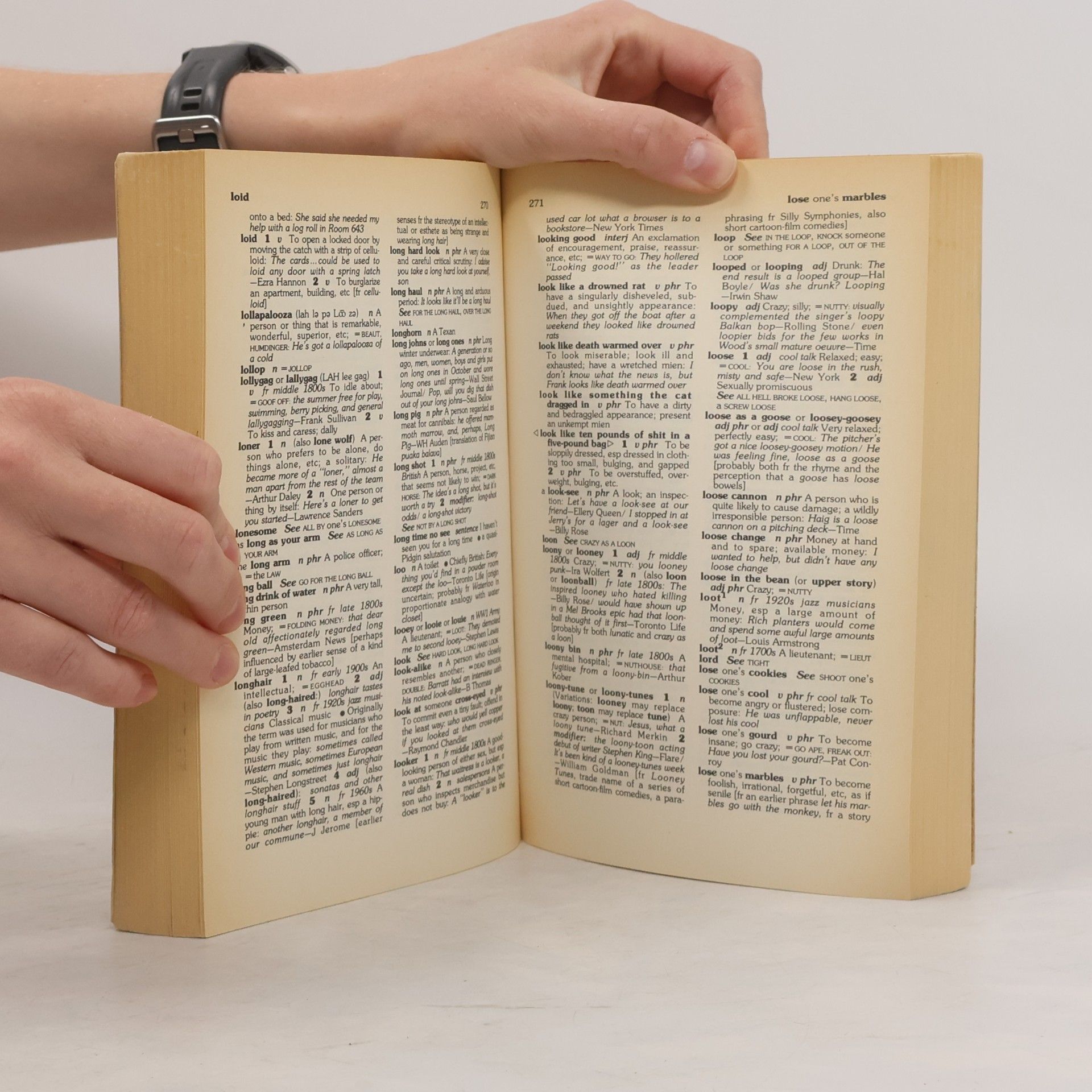 Robert L. Chapman American Slang