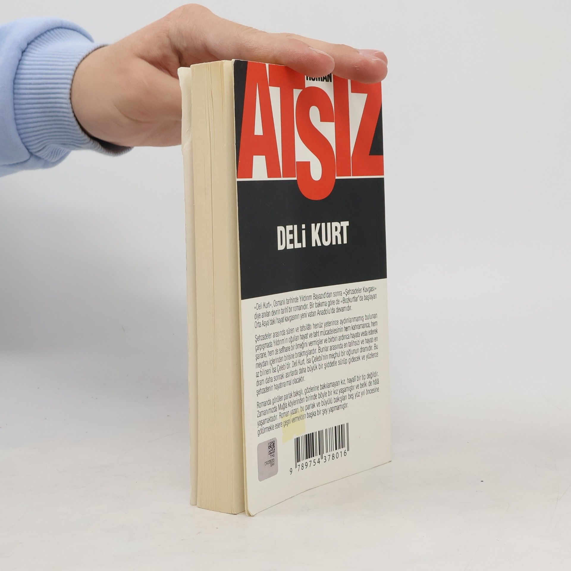 Hüseyin Nihal Atsız Deli Kurt
