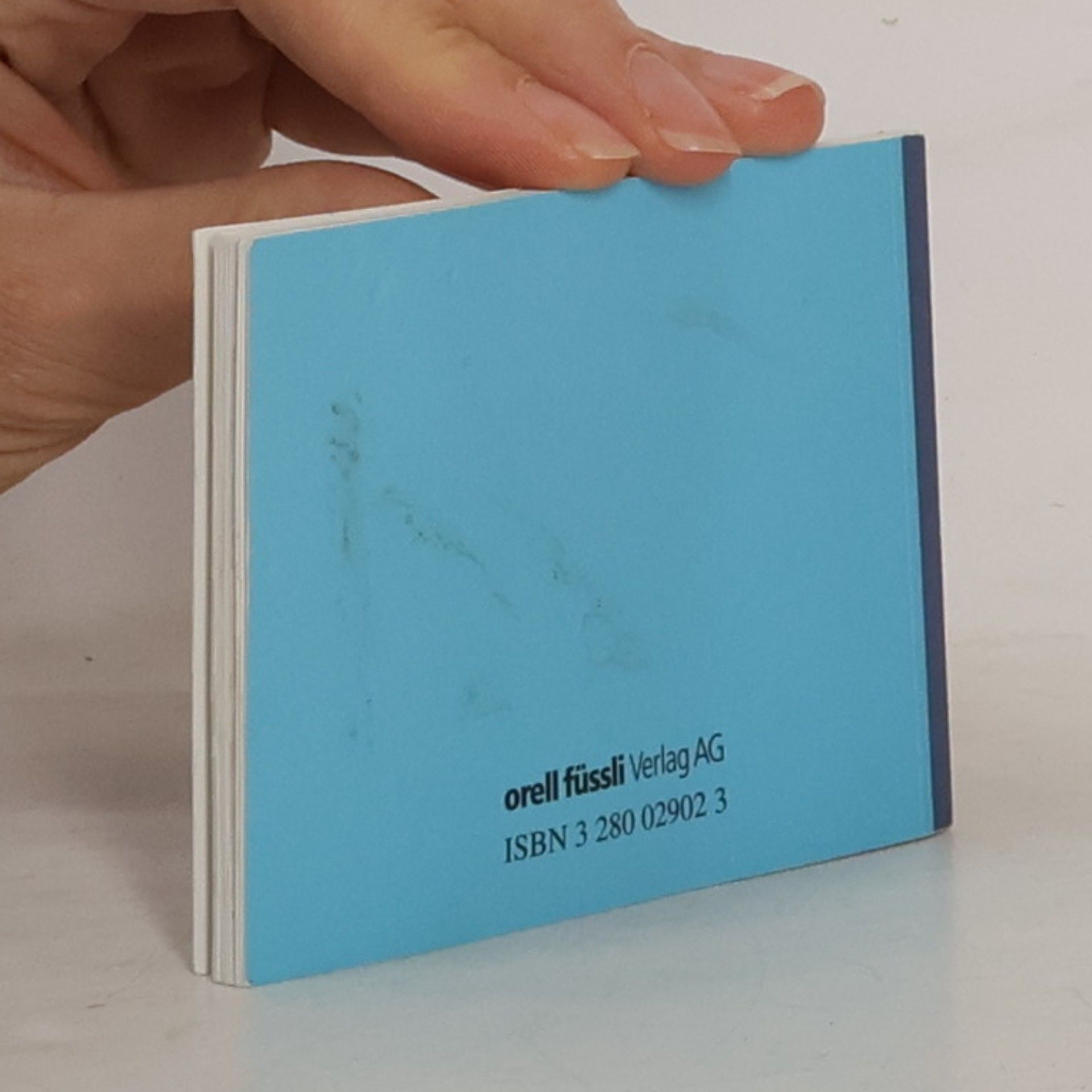 Selina Chönz Flurina und das Wildvöglein, kleine Ausgabe