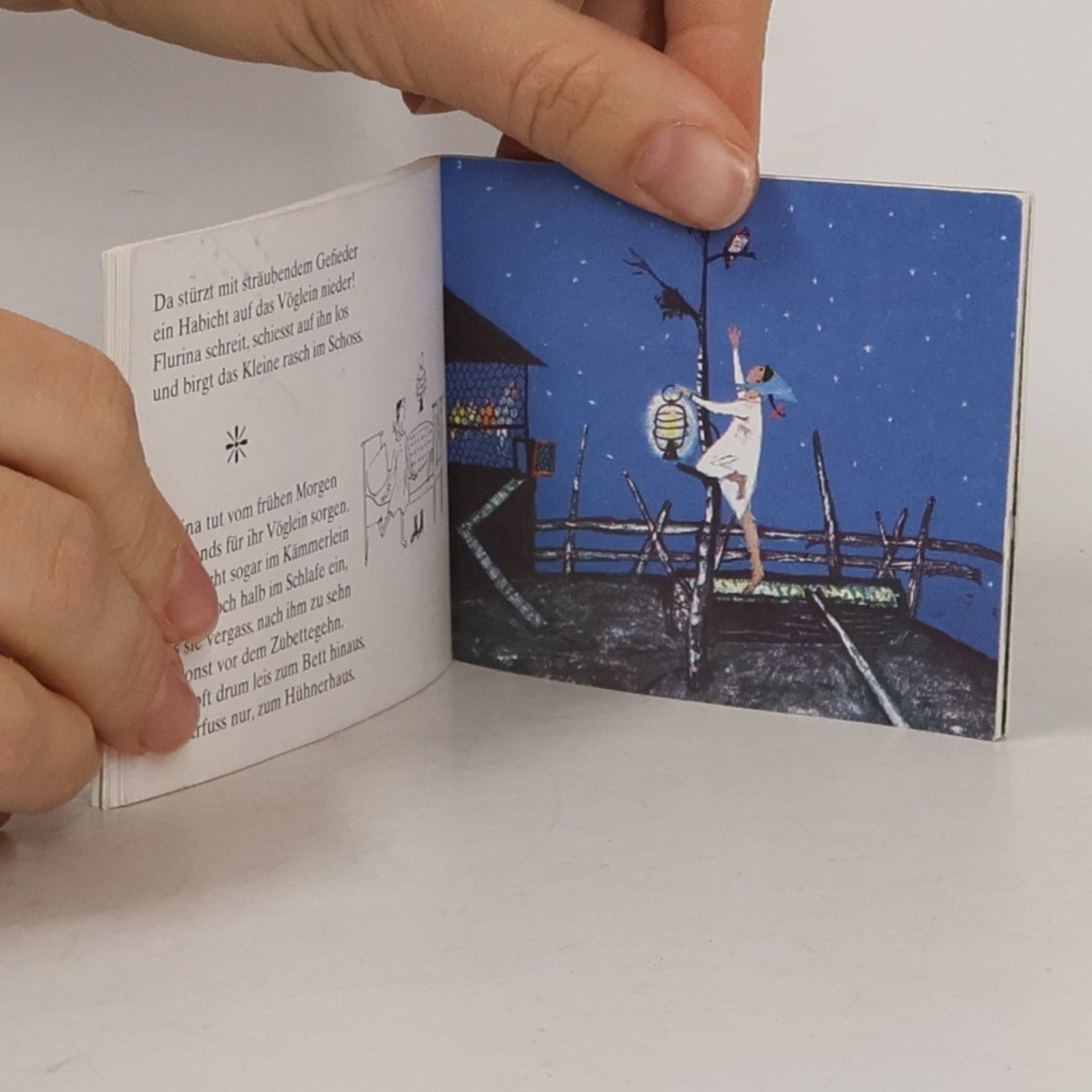 Selina Chönz Flurina und das Wildvöglein, kleine Ausgabe