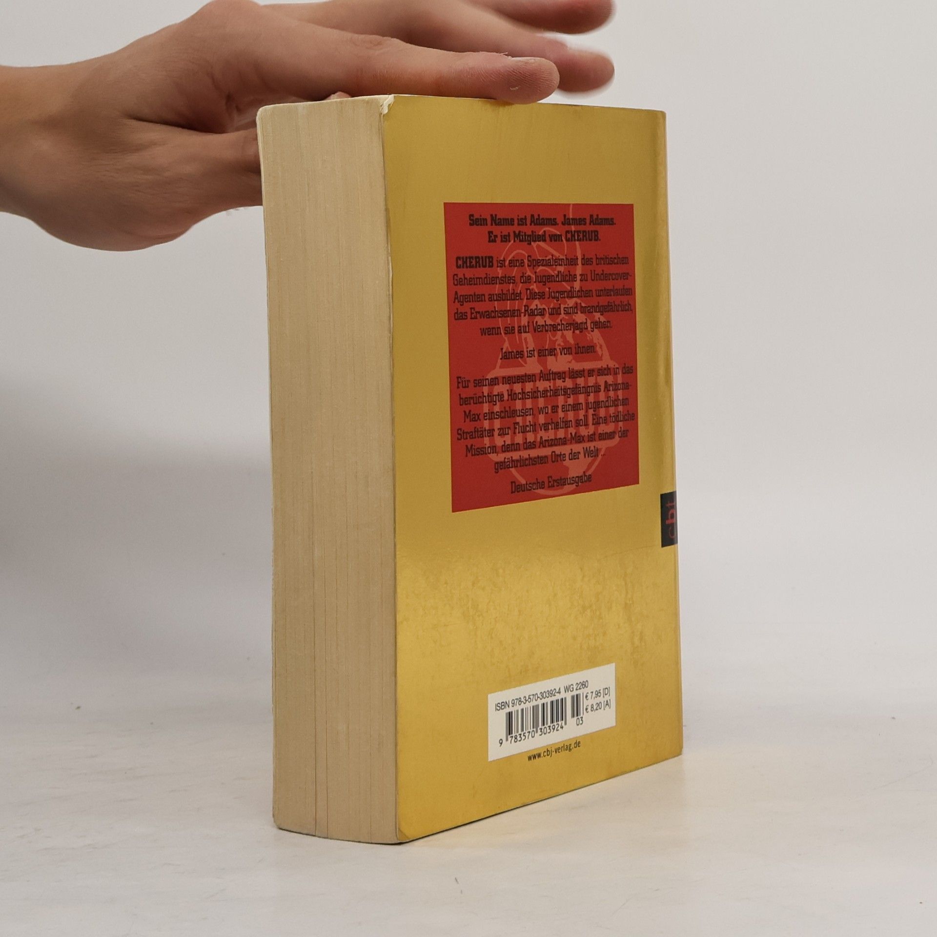 Robert Muchamore Top Secret 03. Der Ausbruch