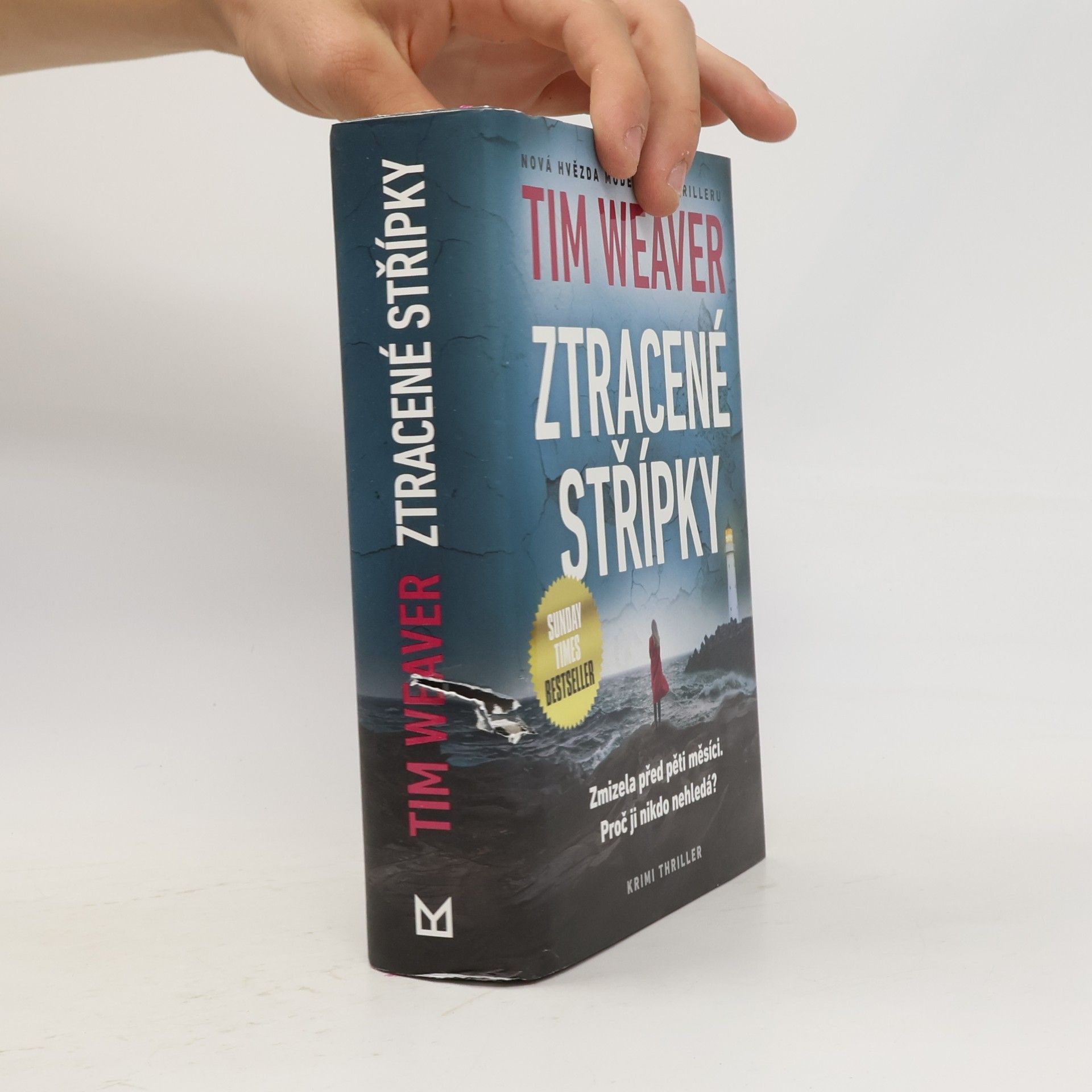 Tim Weaver Ztracené střípky