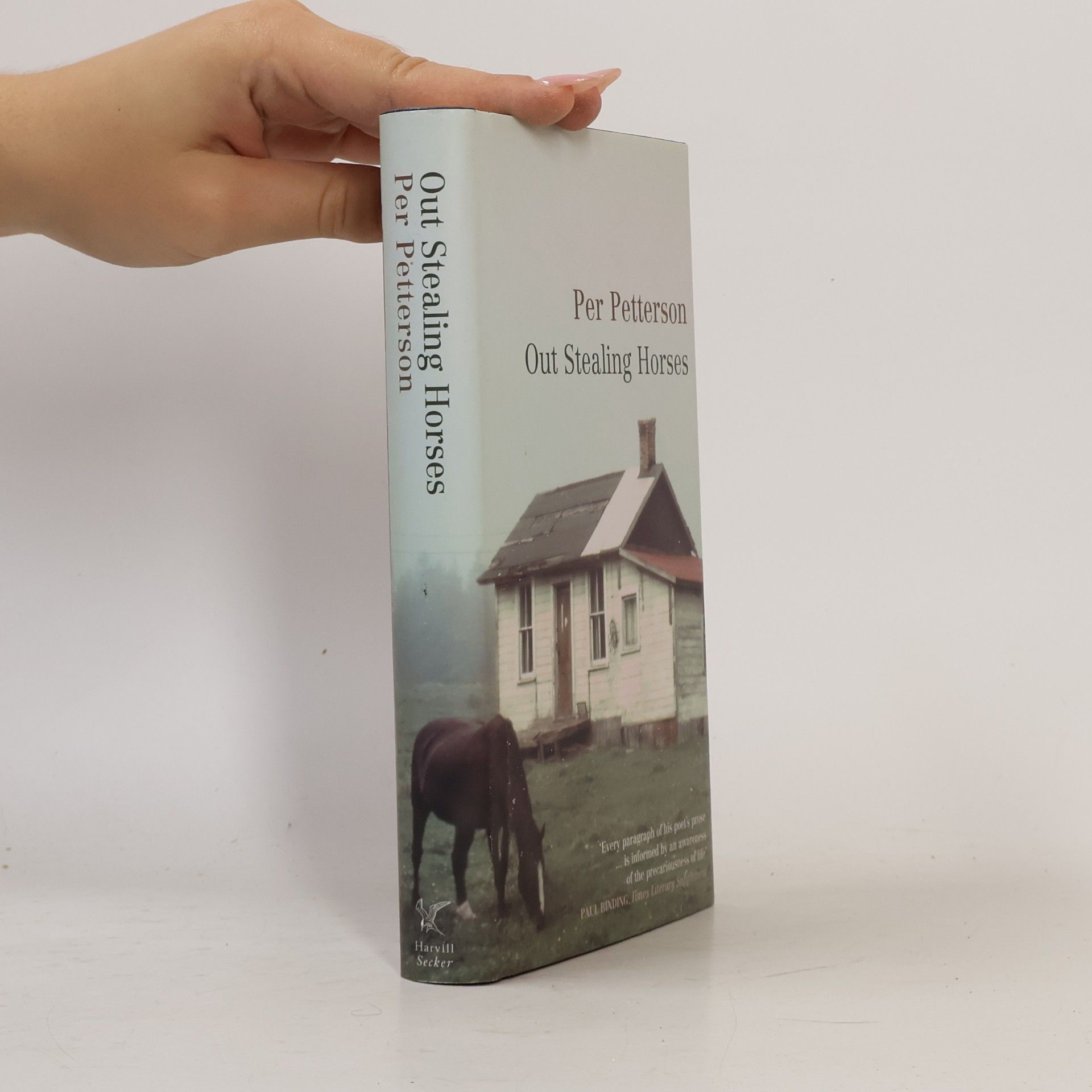 Anne Born Out Stealing Horses