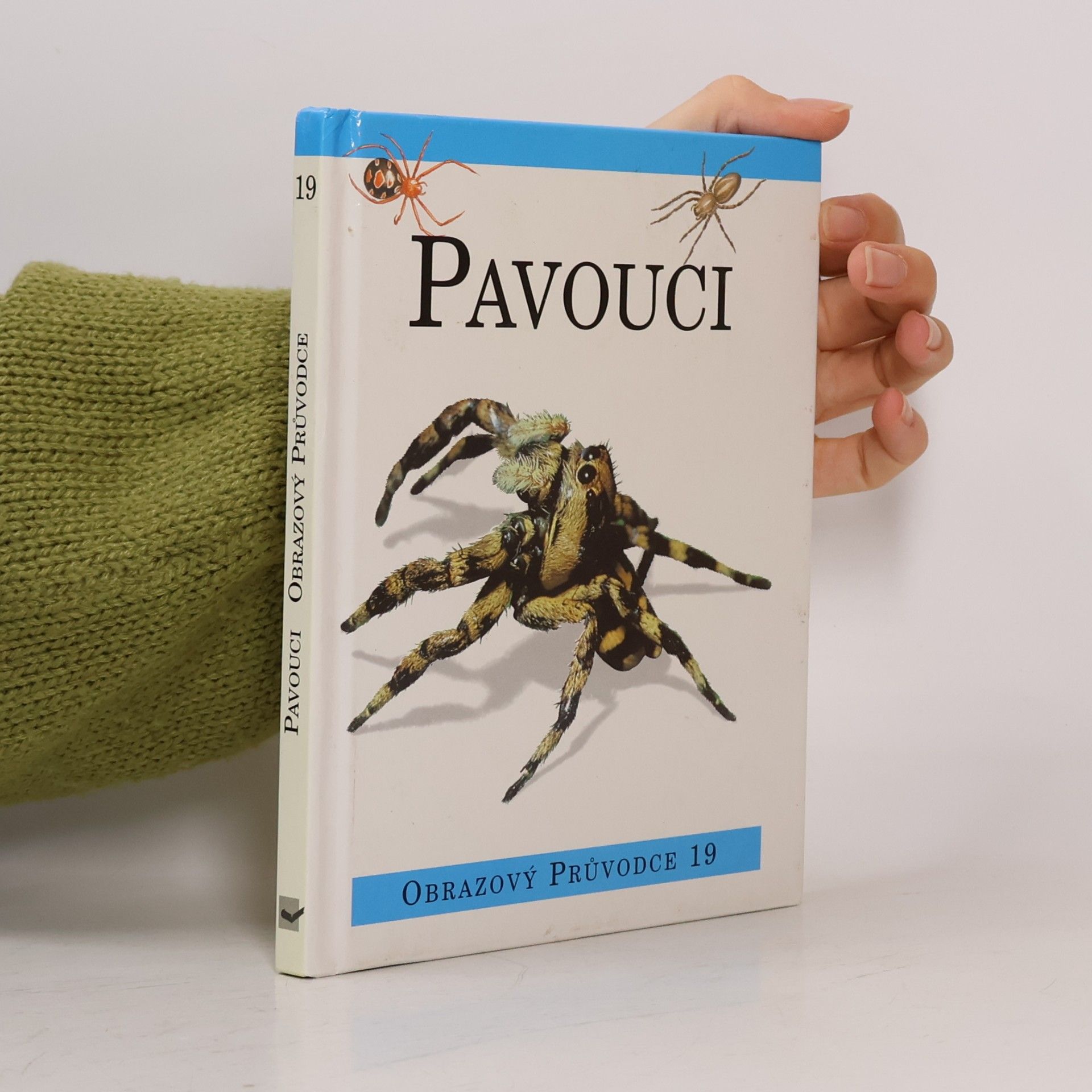 Antonín Kůrka Pavouci