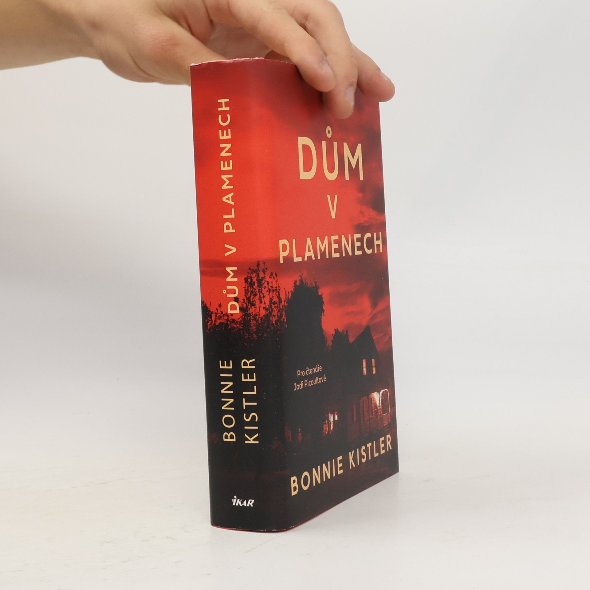 Bonnie MacDougal Dům v plamenech