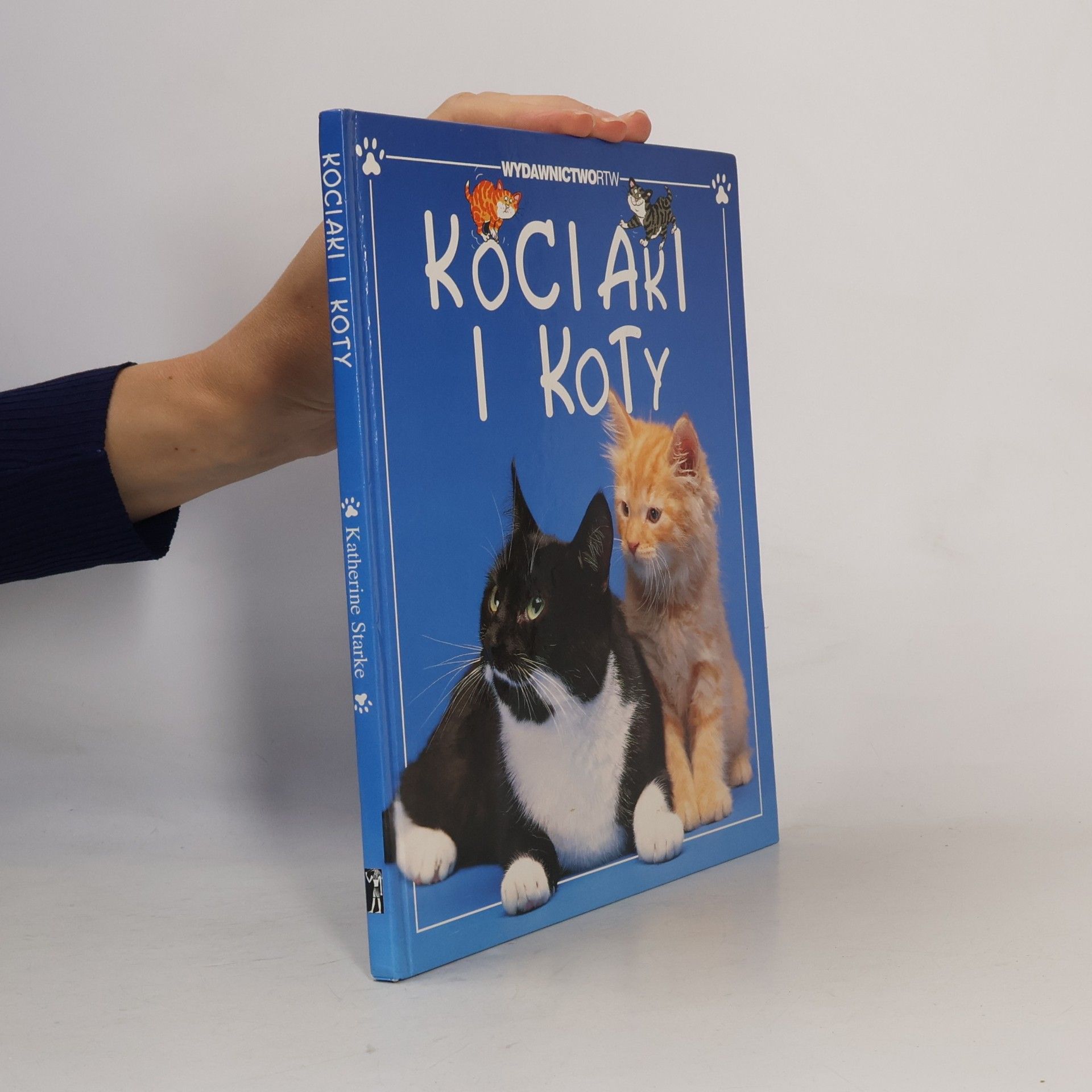 Kociątka i koty