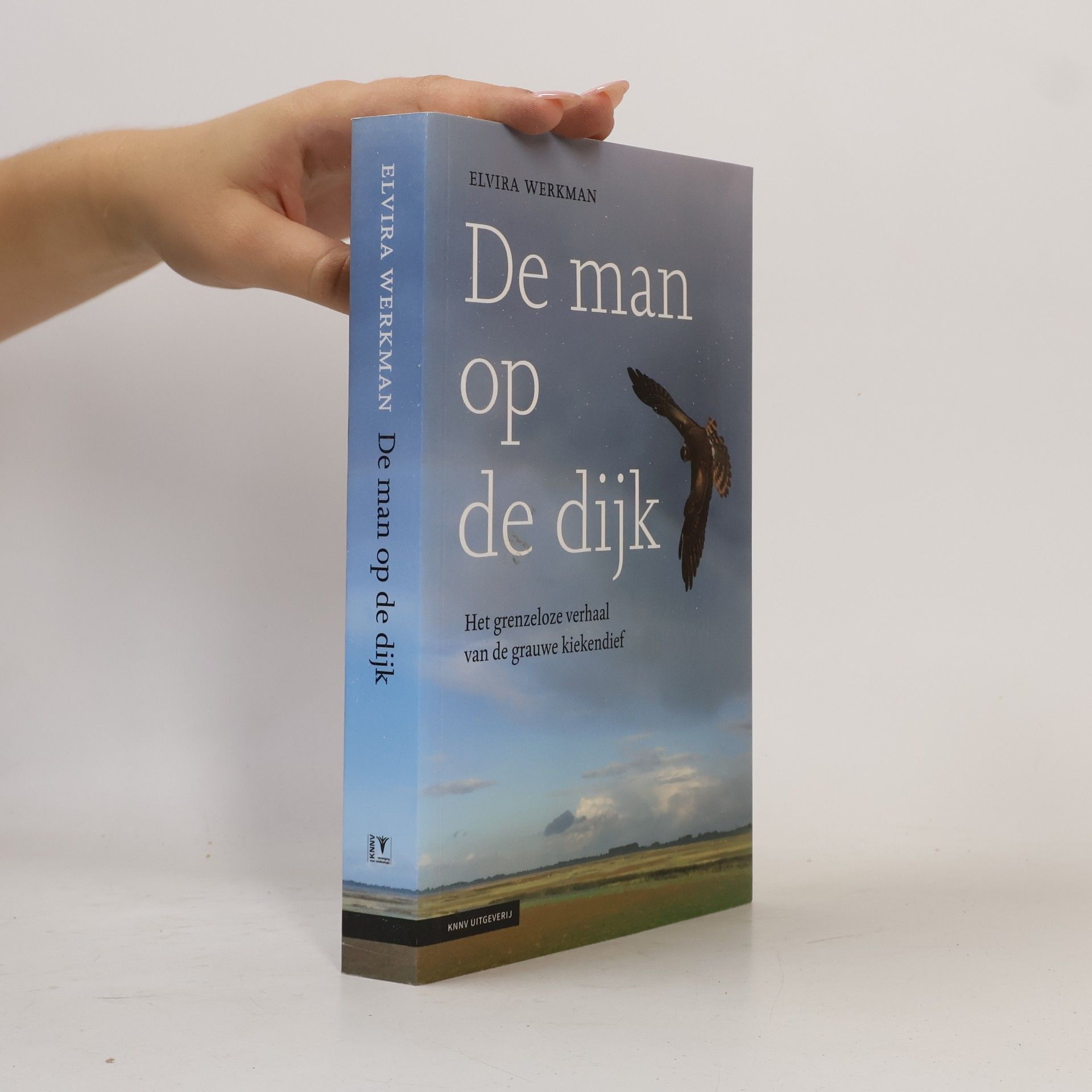 De man op de dijk