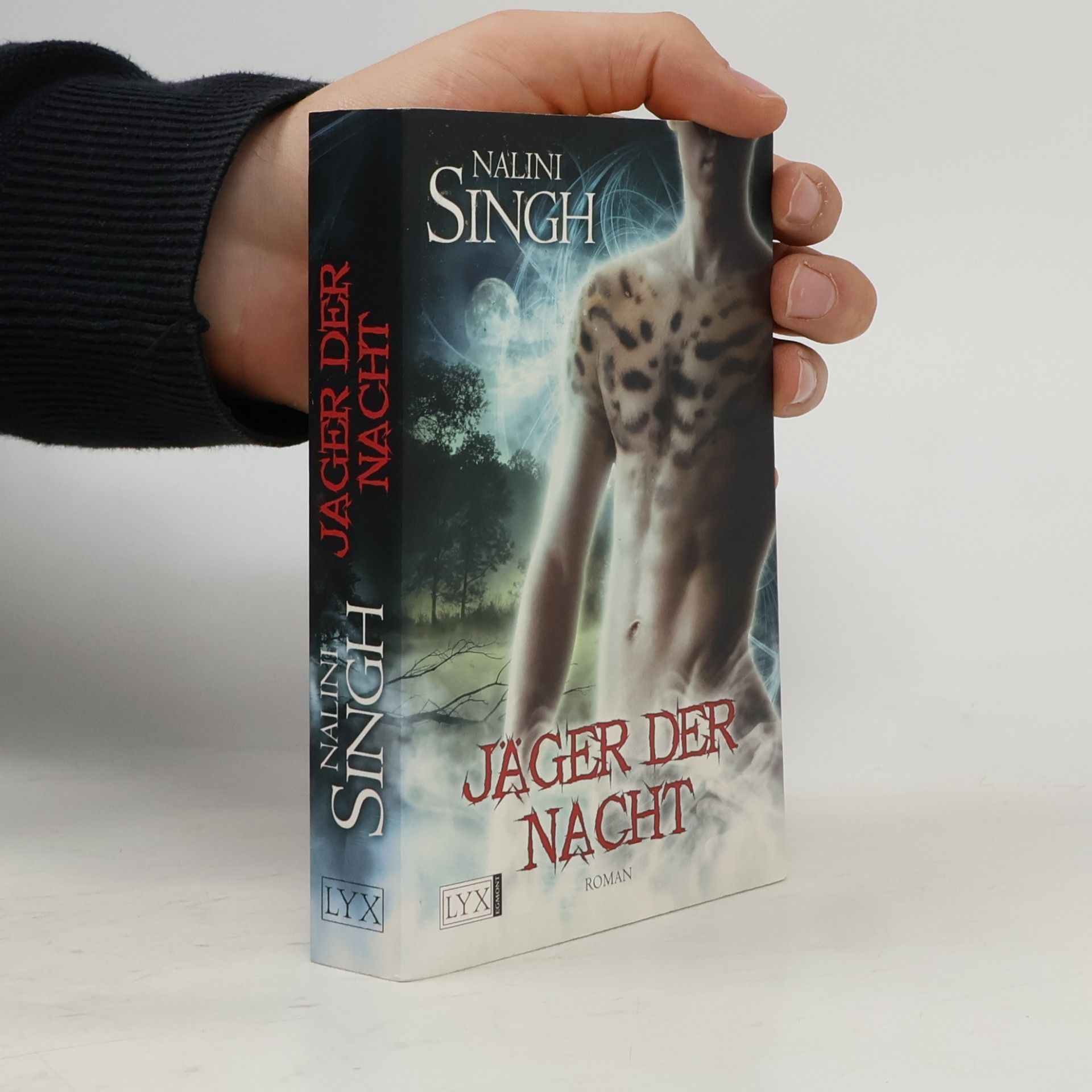 Nalini Singh Jäger der Nacht