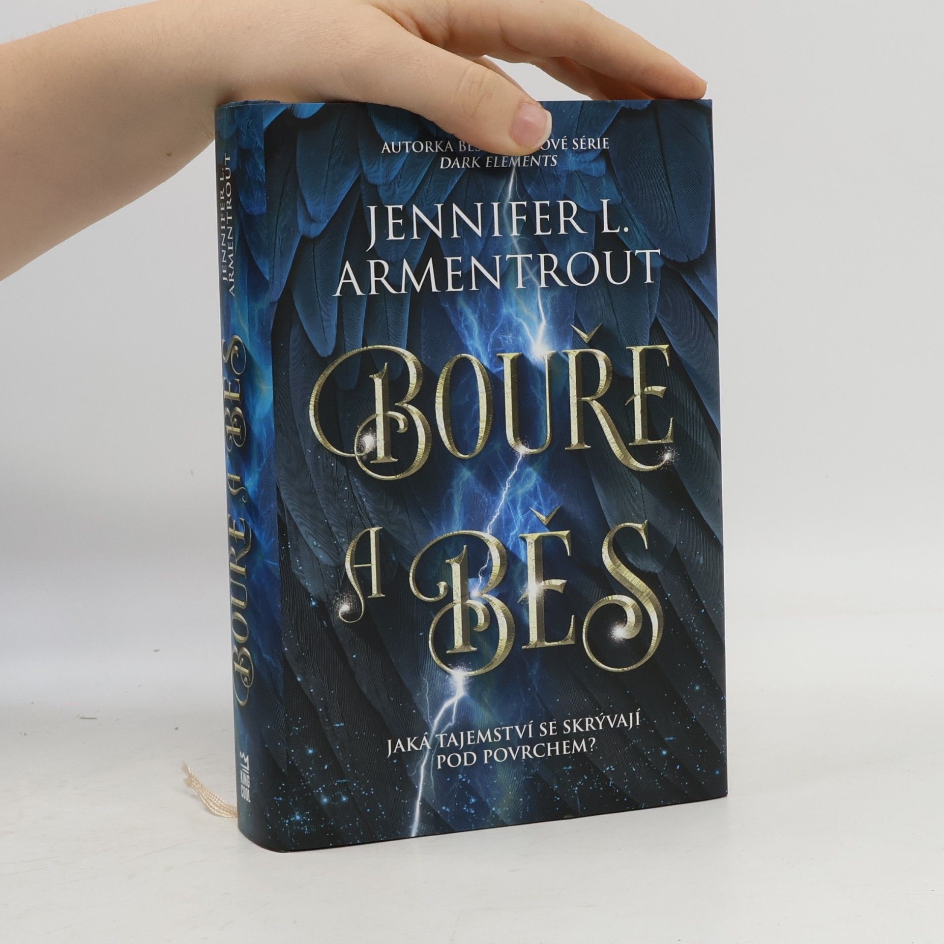 Jennifer L. Armentrout Bouře a běs