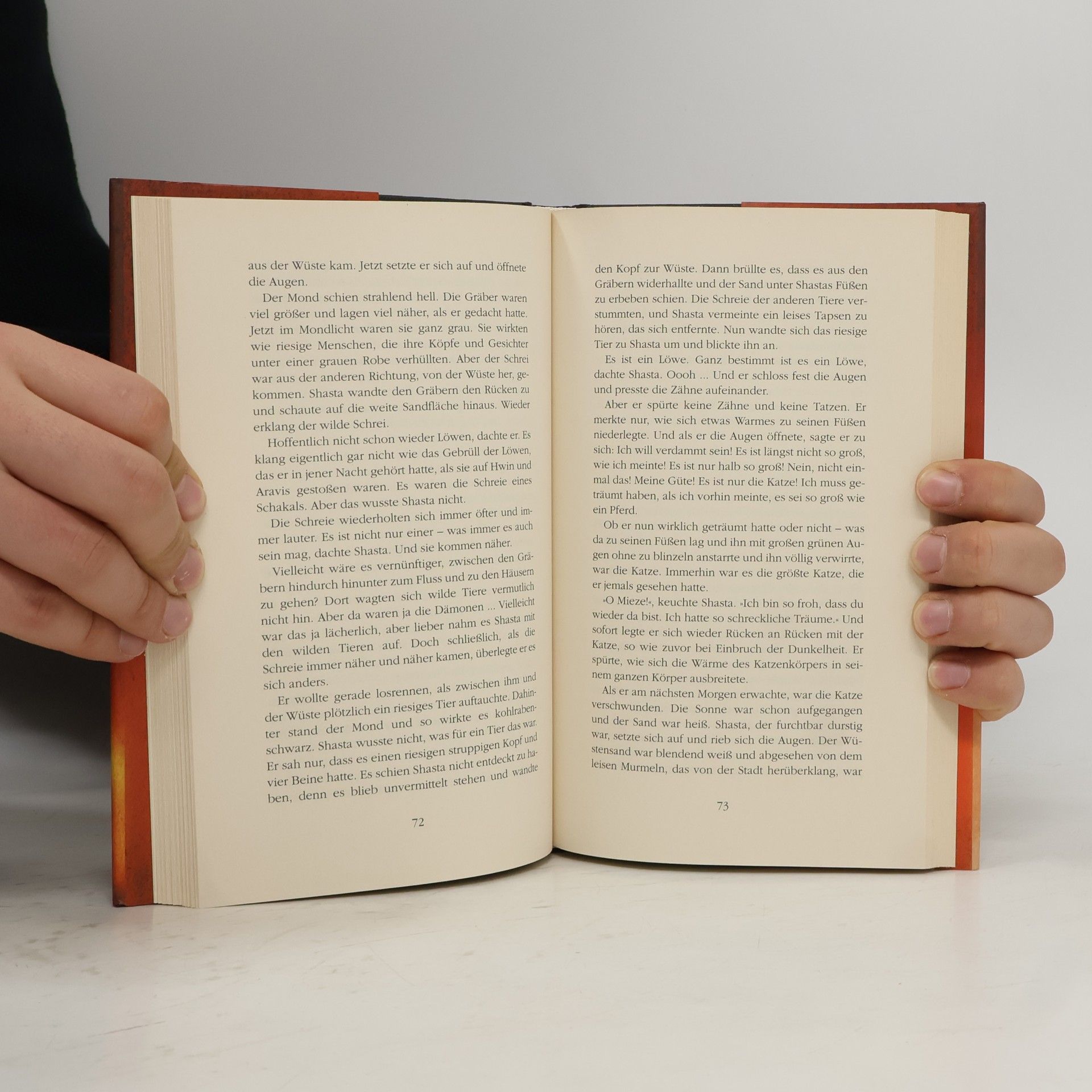 C. S. Lewis Die Chroniken von Narnia. Der Ritt nach Narnia