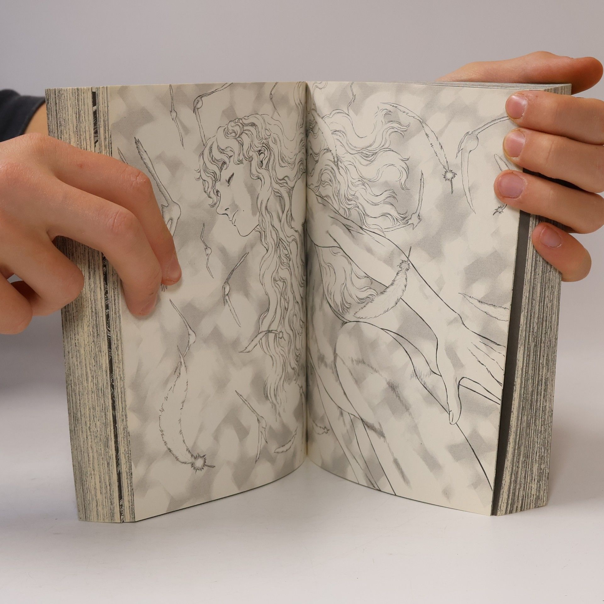 Kentaró Miura Berserk Max. Bd.11