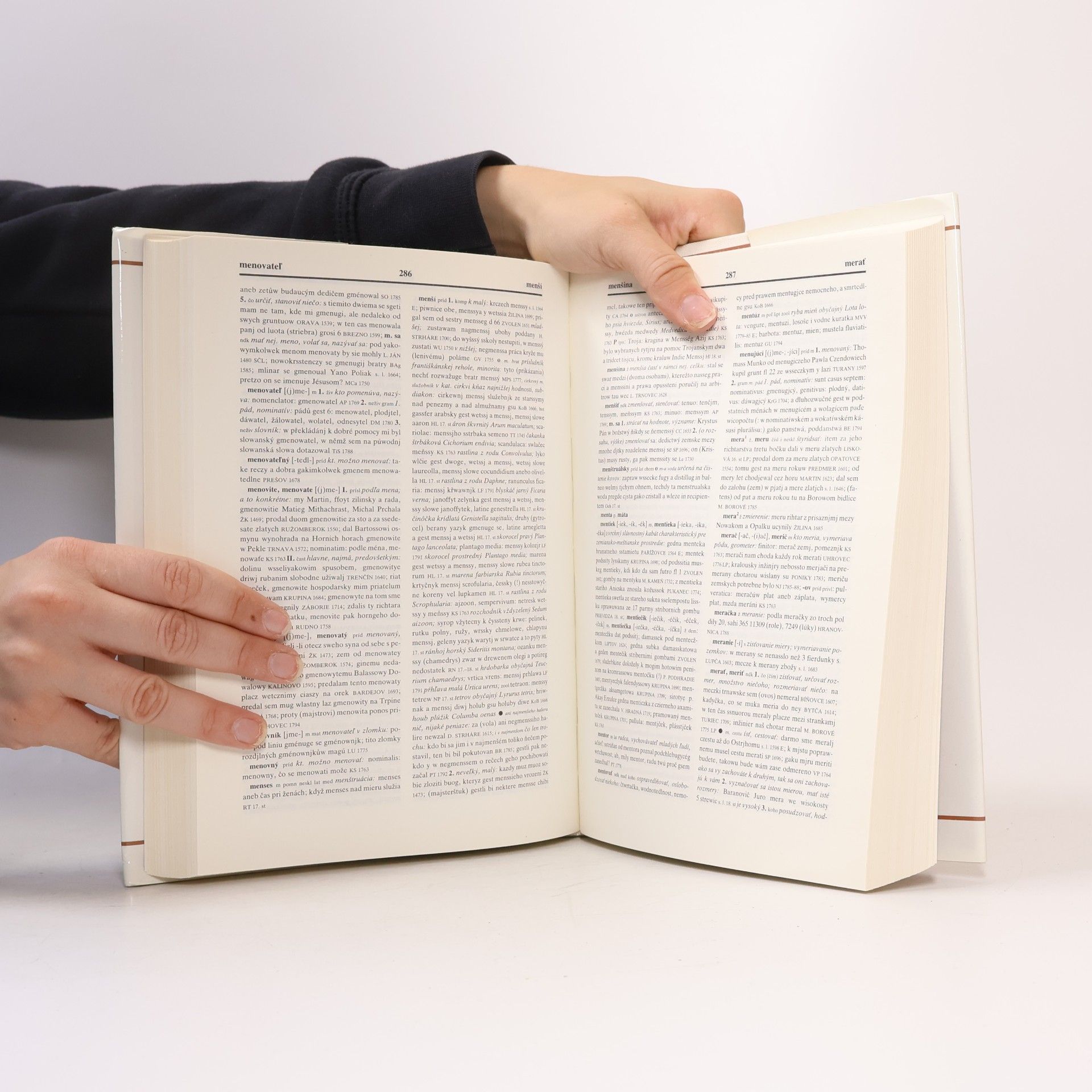 Autorenkollektiv Historický slovník slovenského jazyka II: K–N