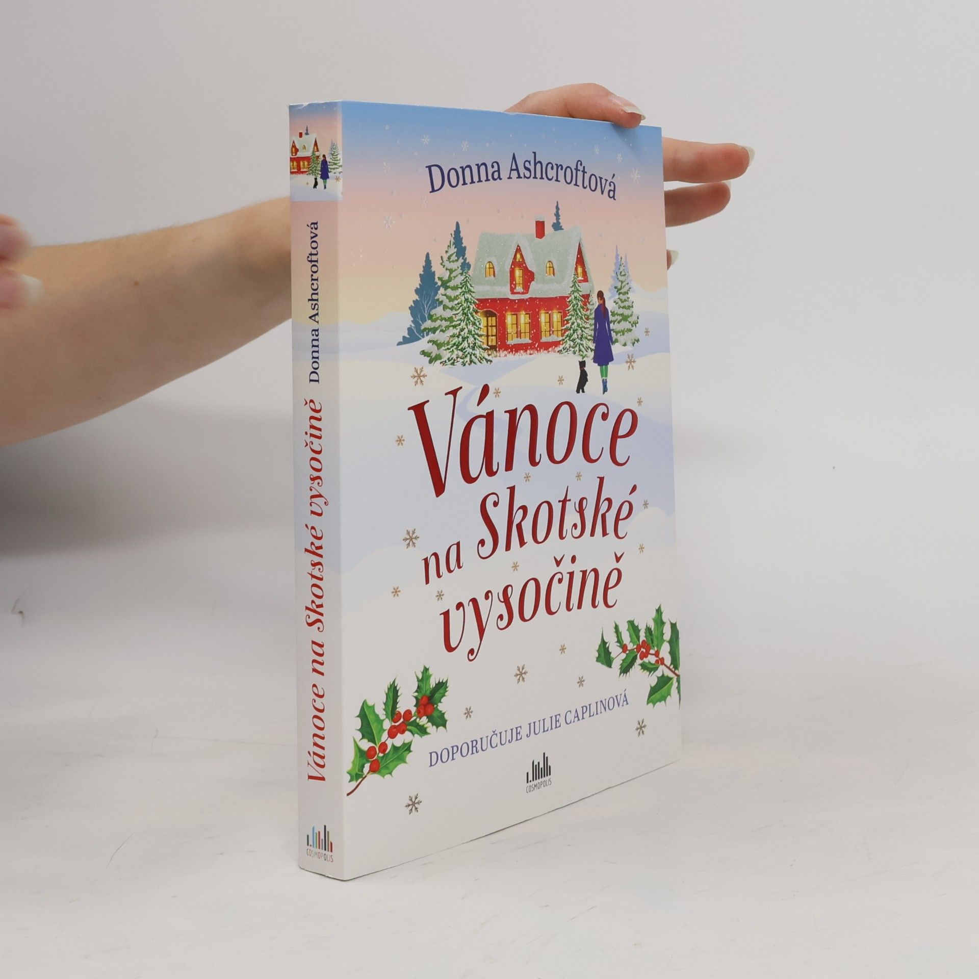 Donna Ashcroft Vánoce na Skotské vysočině