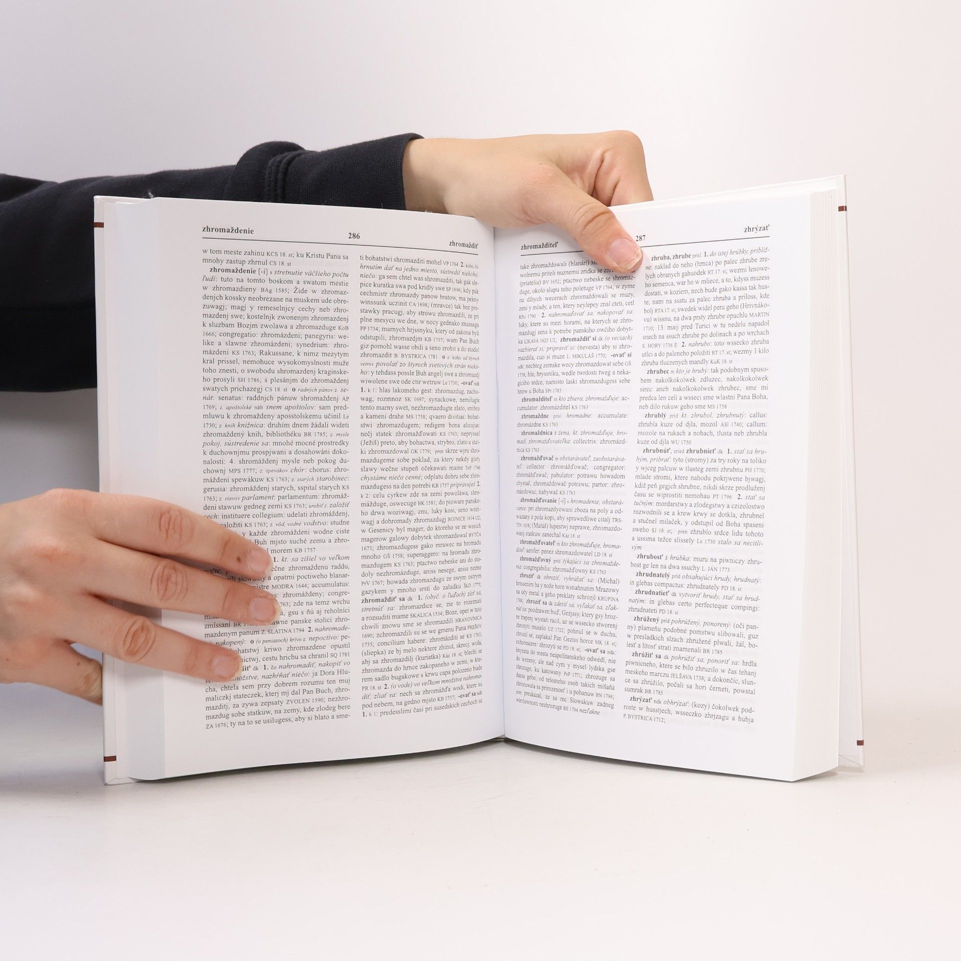 Autorenkollektiv Historický slovník slovenského jazyka VII: Z–Ž, Dodatky