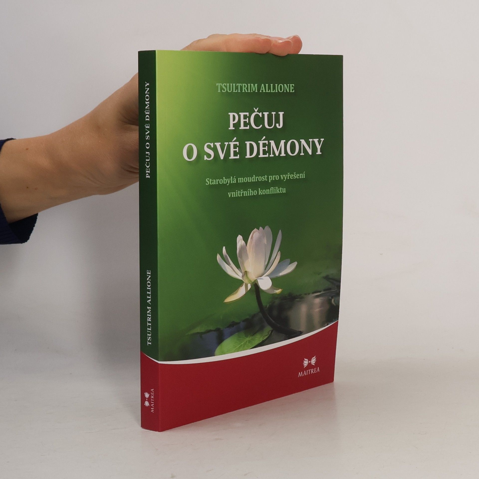 Tsultrim Allione Pečuj o své démony. Starobylá moudrost pro vyřešení vnitřního konfliktu