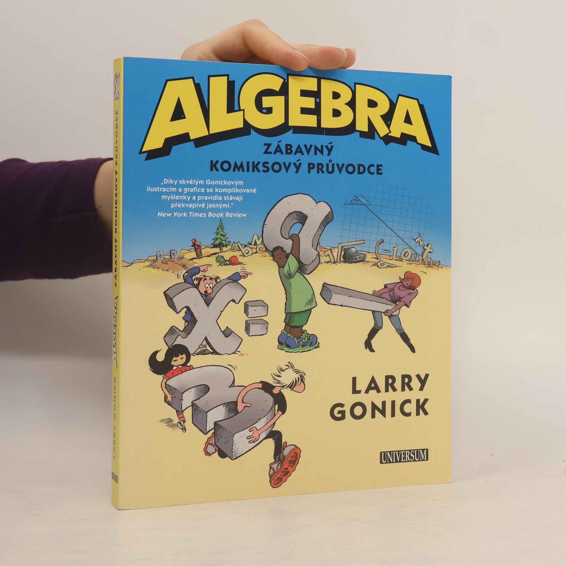 Larry Gonick Algebra. Zábavný komiksový průvodce