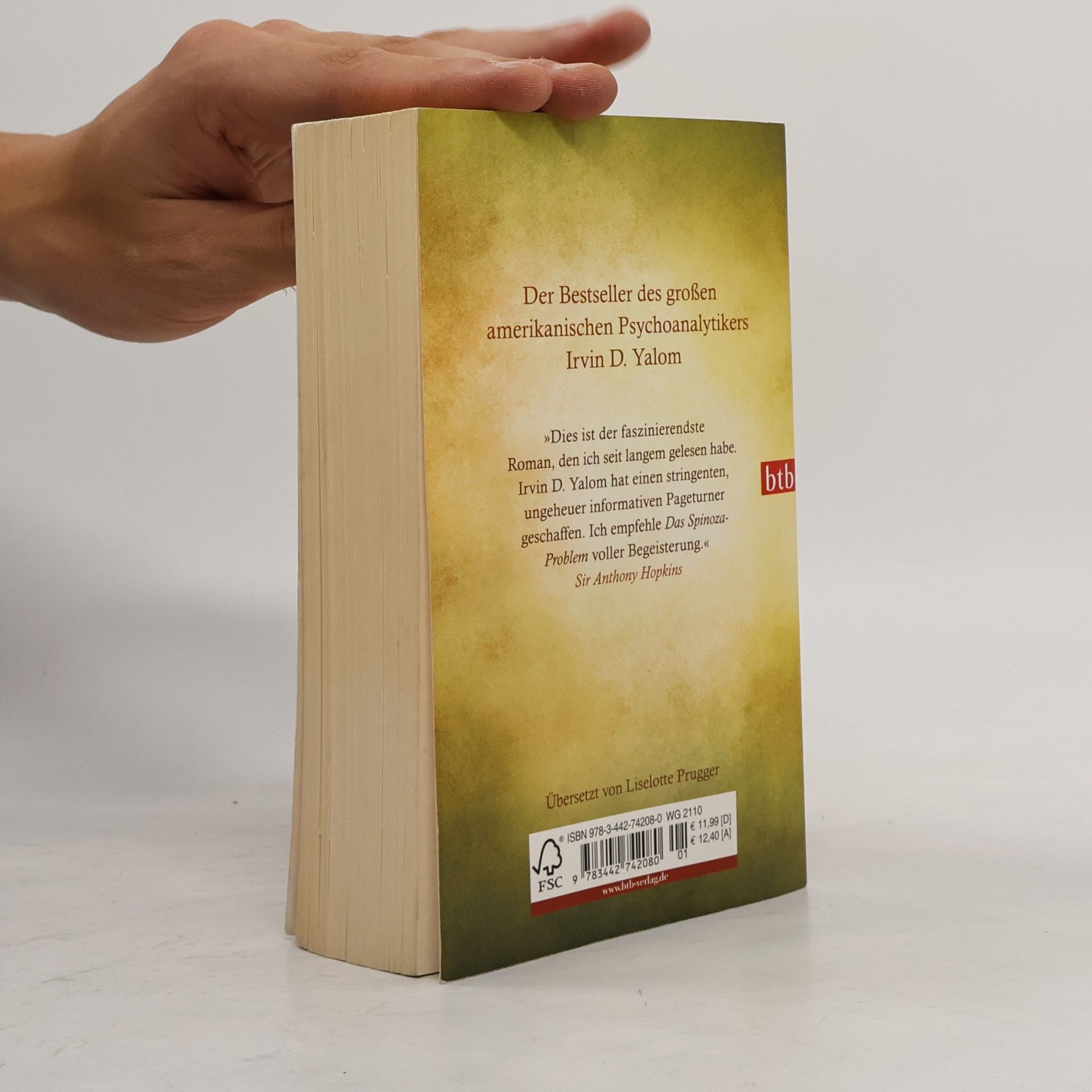 Irvin Yalom Das Spinoza-Problem