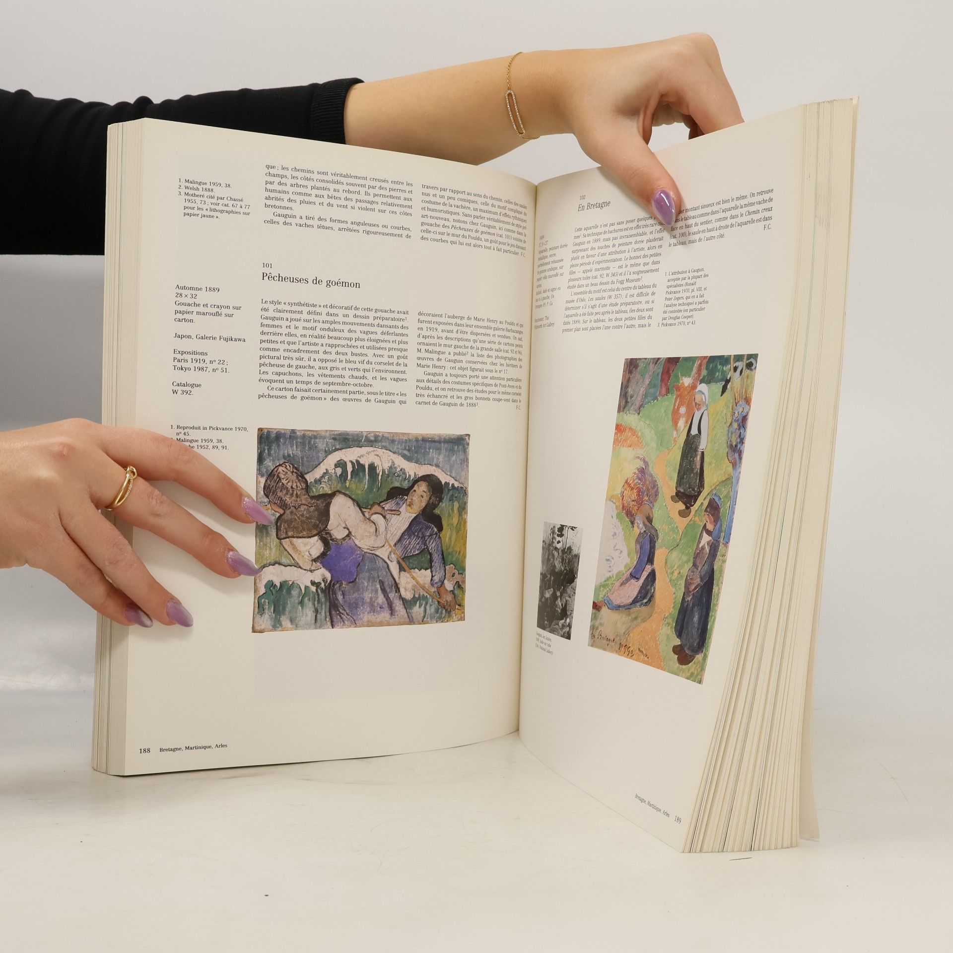 Various authors Gauguin : Galeries nationales du Grand Palais Paris