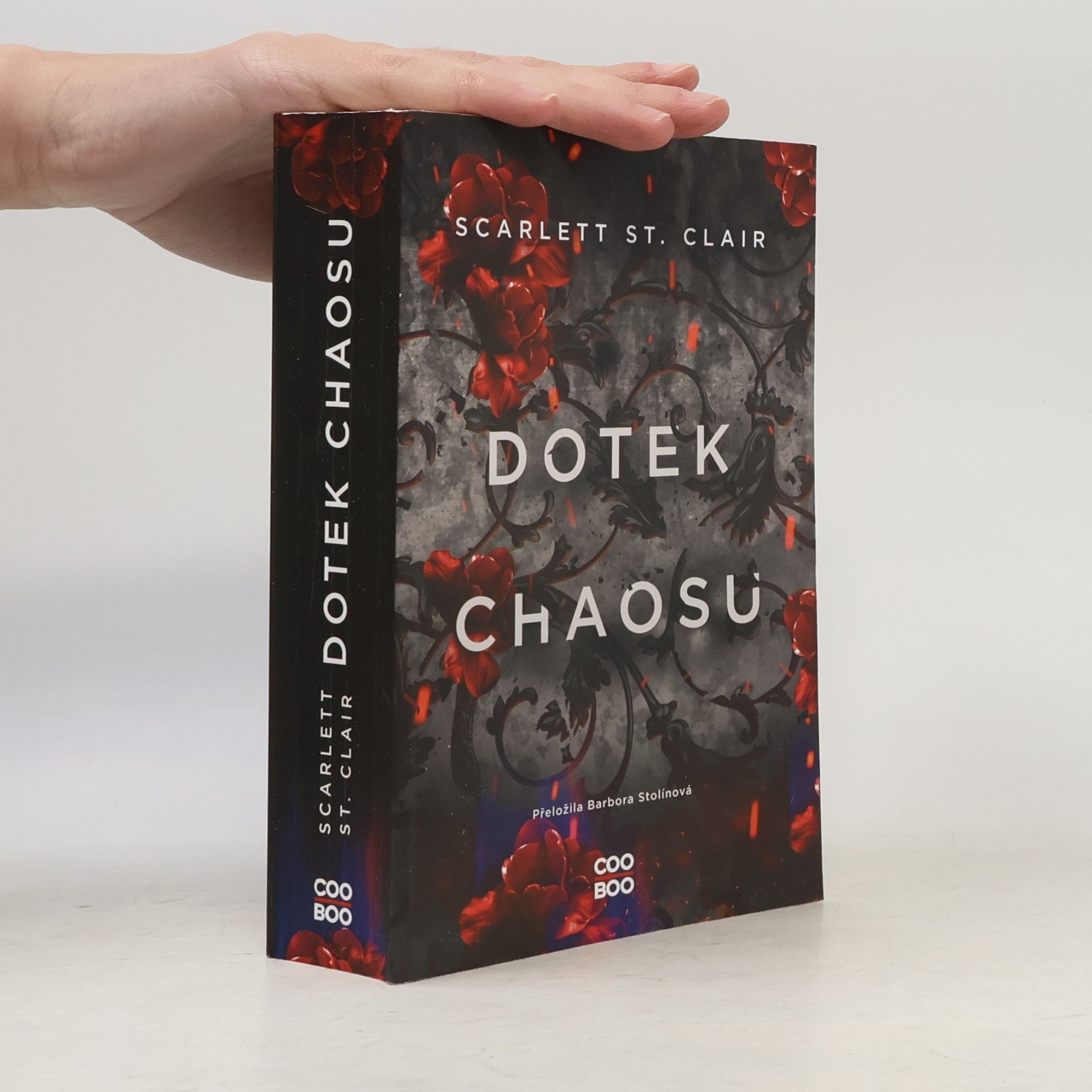 Dotek chaosu