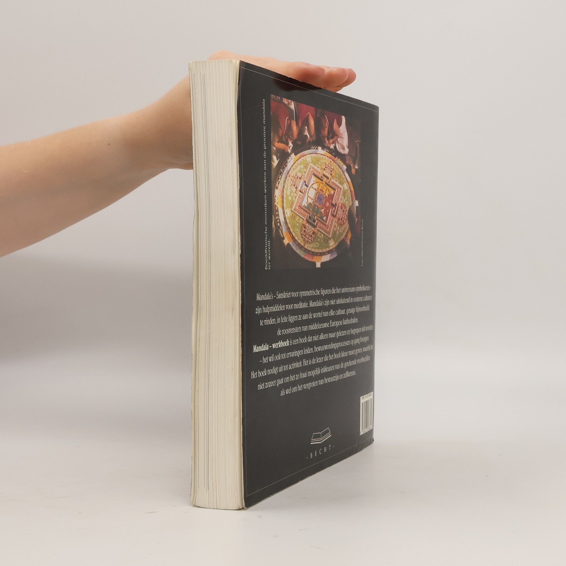 Ruediger Dahlke Mandala-werkboek