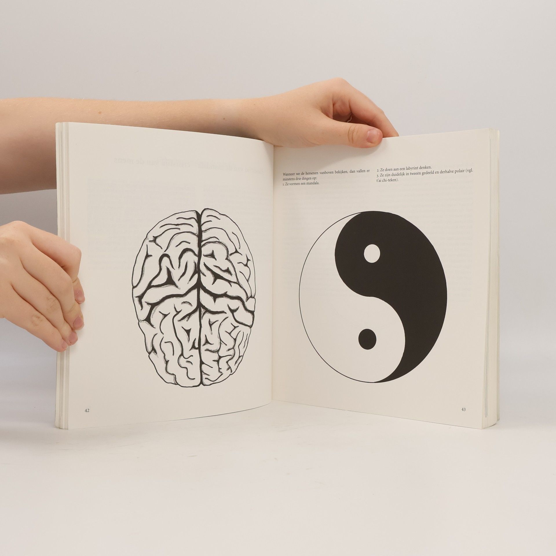 Ruediger Dahlke Mandala-werkboek