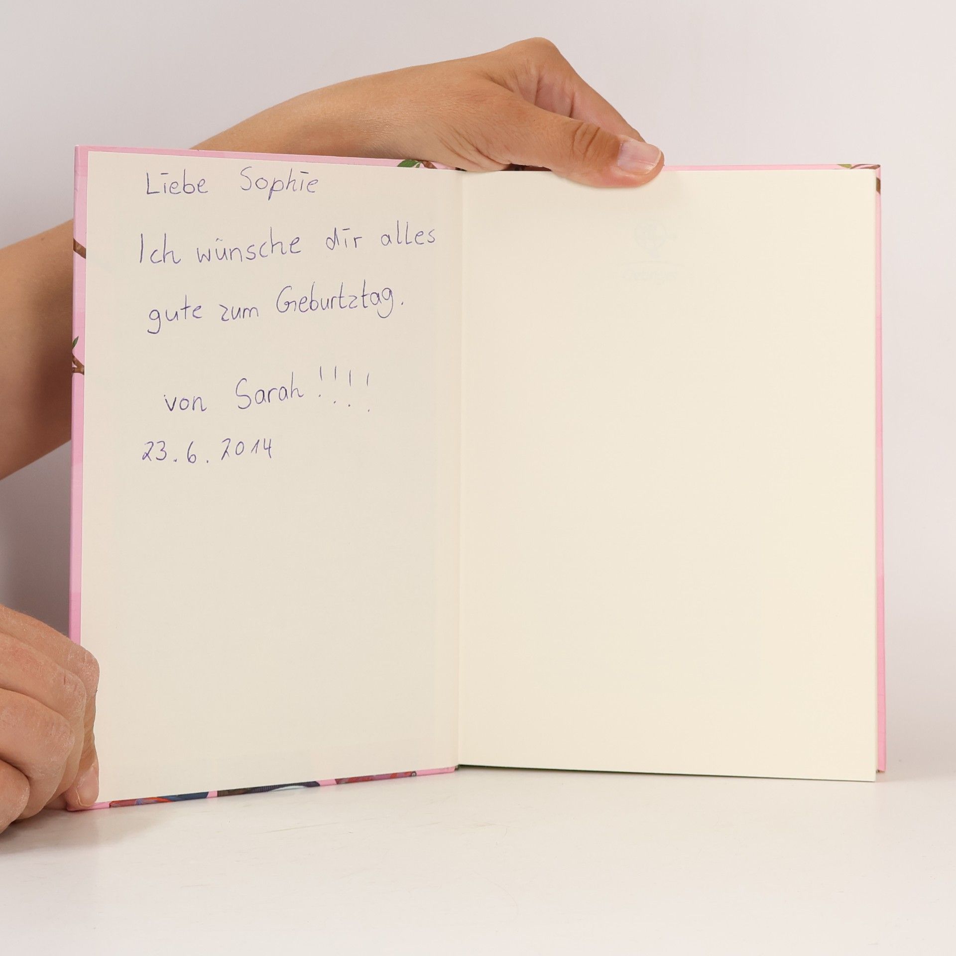 Hilary McKay Alles Glück dieser Welt