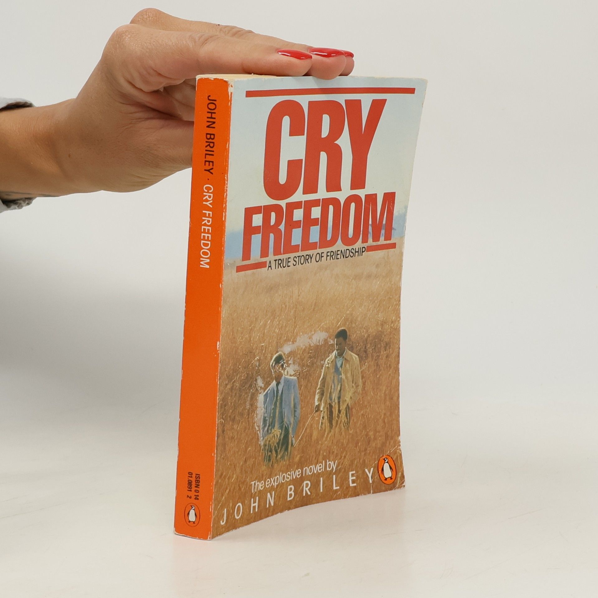 John Briley Cry freedom