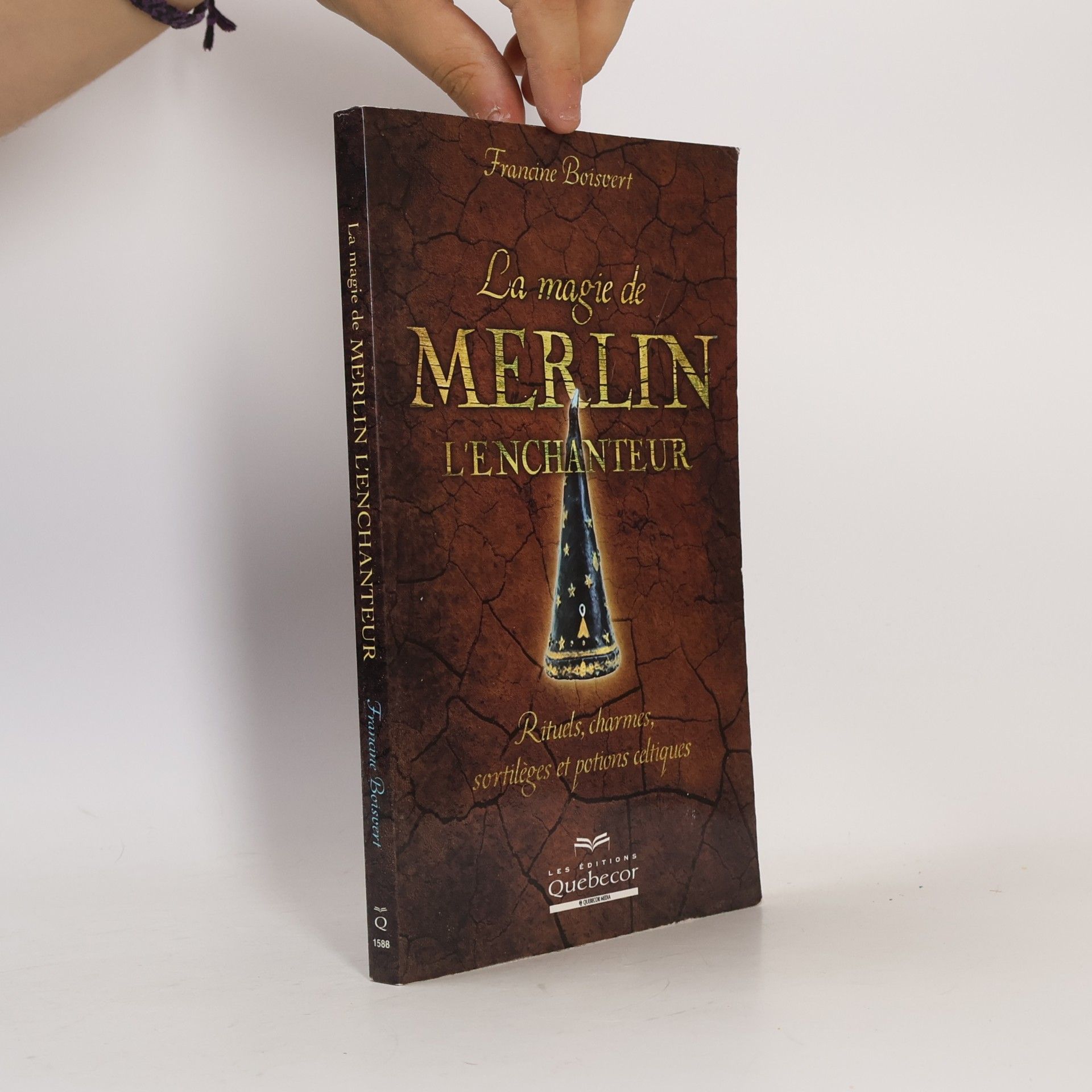 Francine Boisvert La magie de Merlin l'enchanteur
