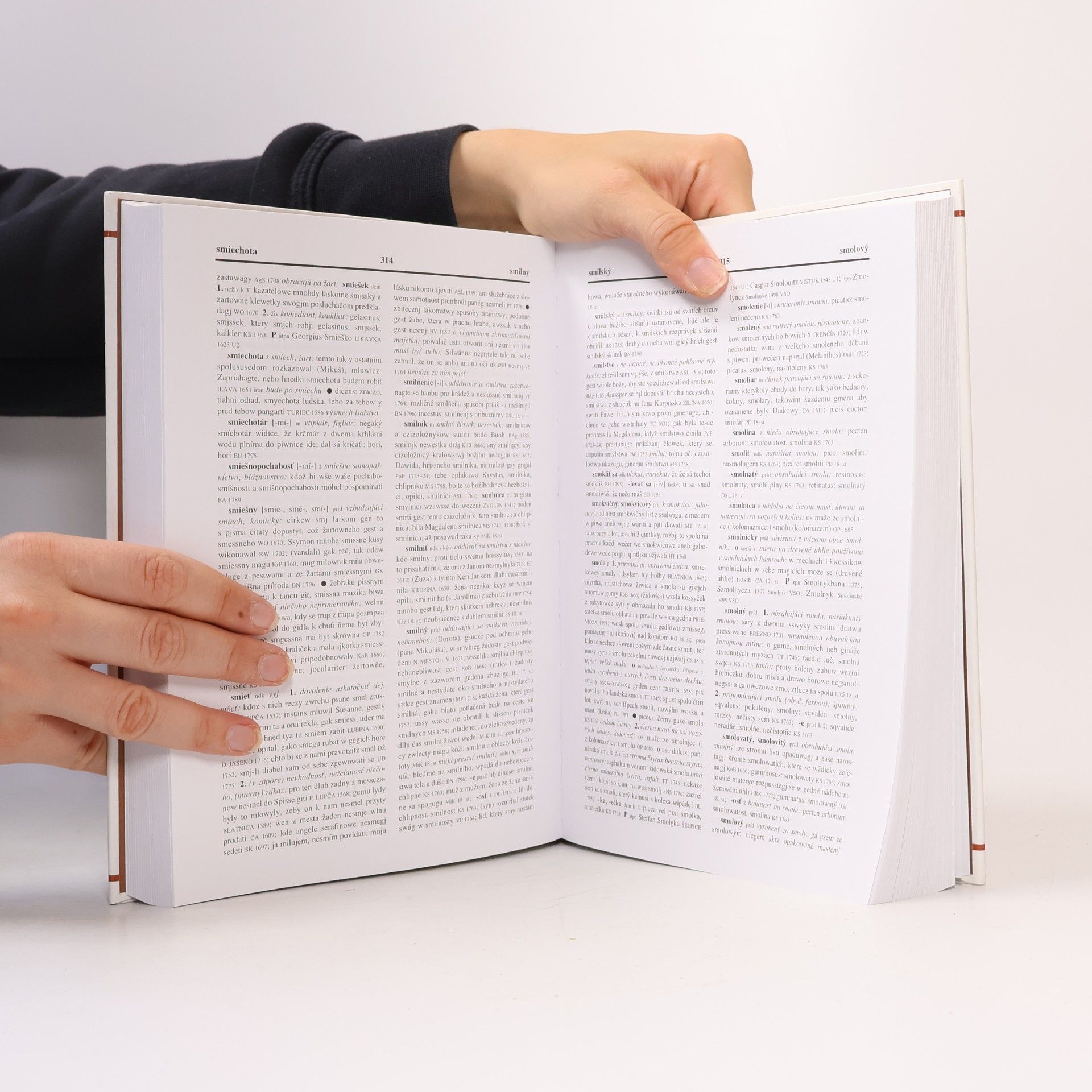 Autorenkollektiv Historický slovník slovenského jazyka V: R–Š