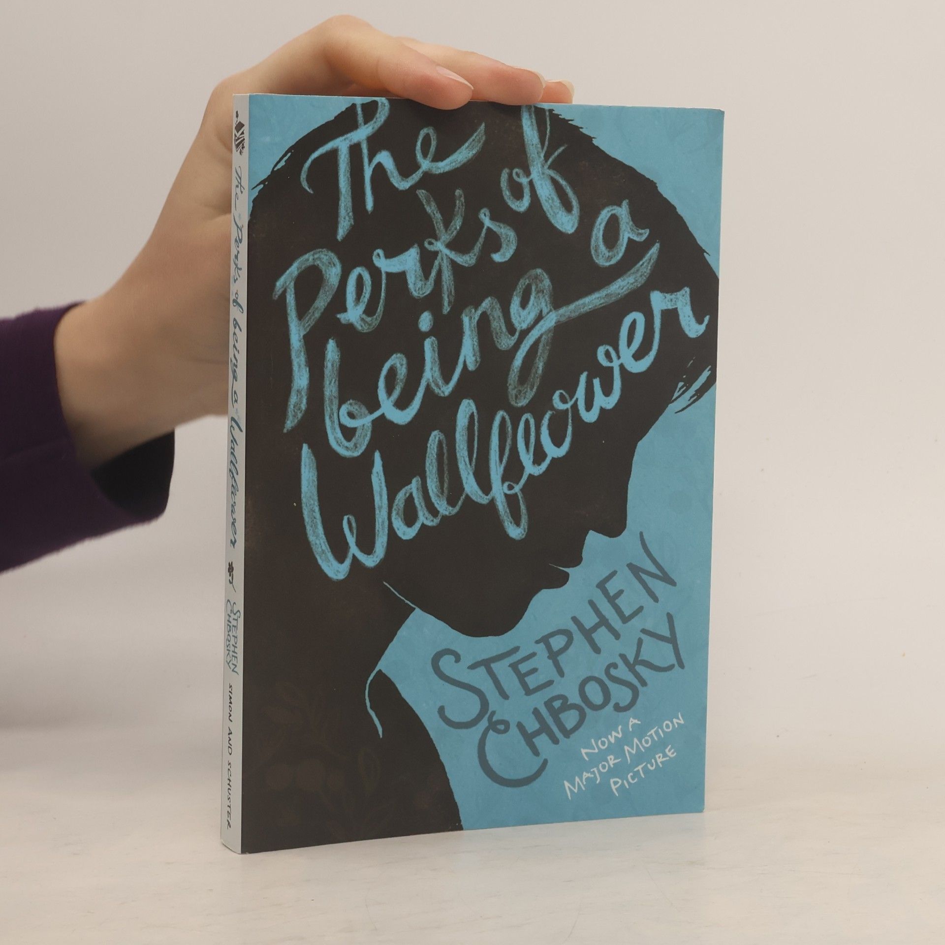 Stephen Chbosky The Perks of Being a Wallflower