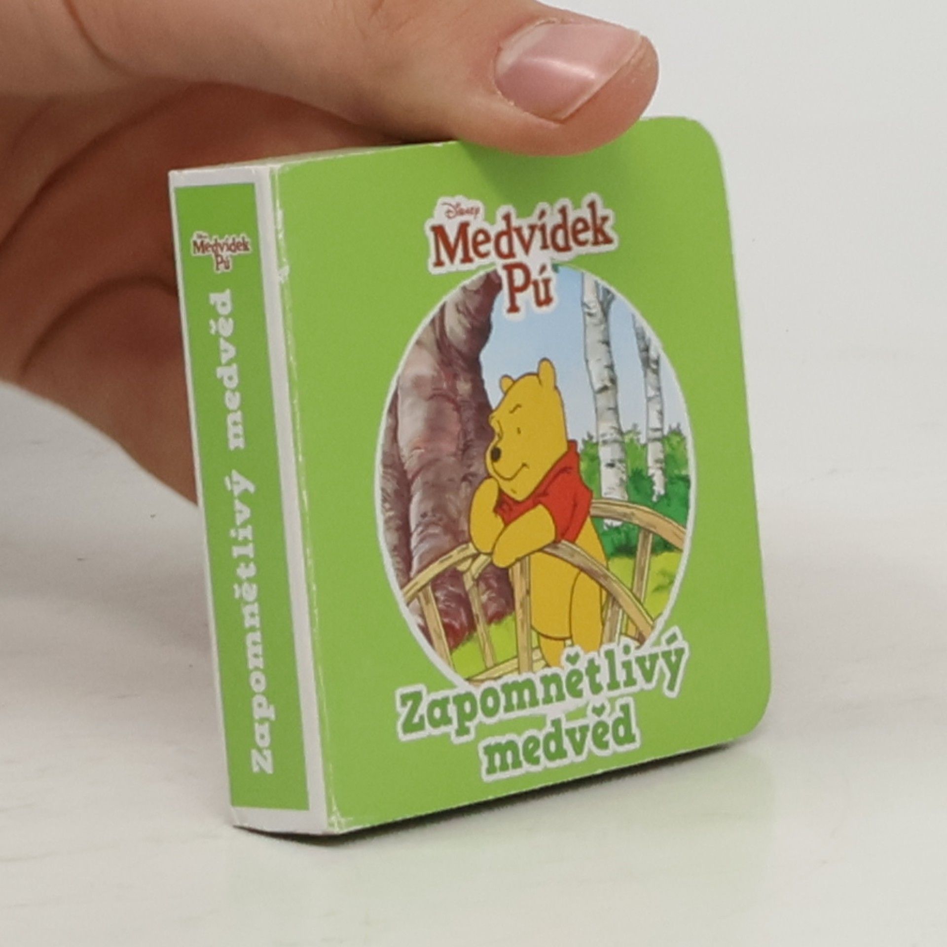 Autorenkollektiv Medvídek Pú. Zapomnětlivý medvěd