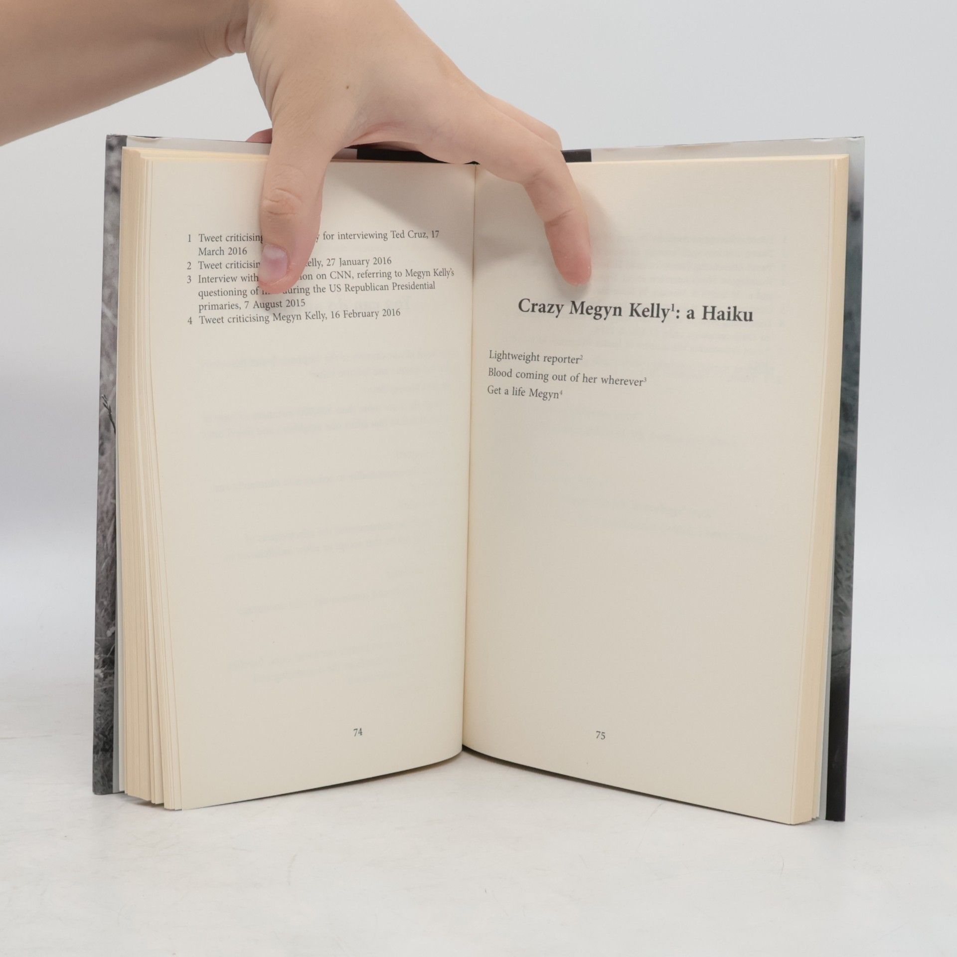 Robert W. Sears The Beautiful Poetry of Donald Trump