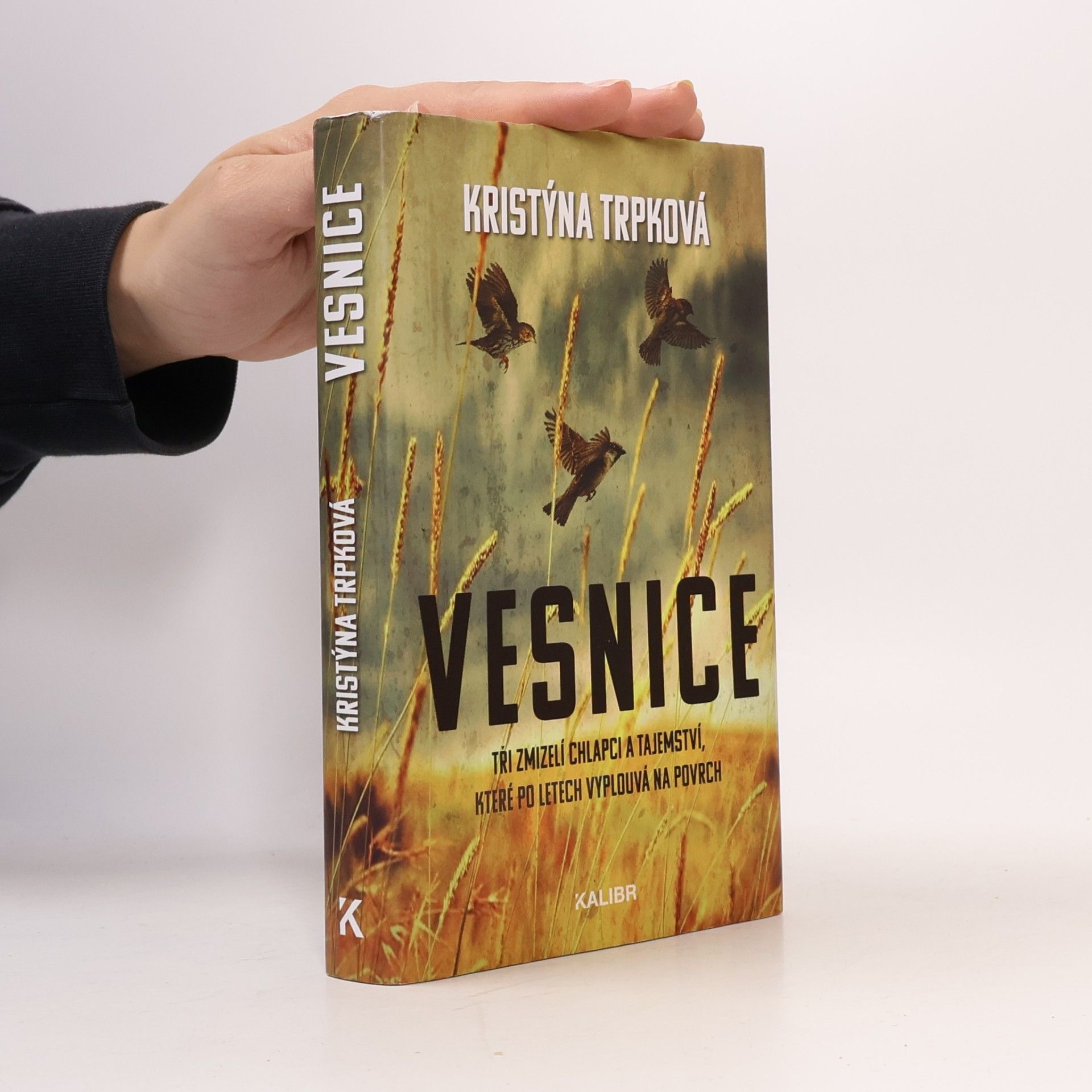 Vesnice