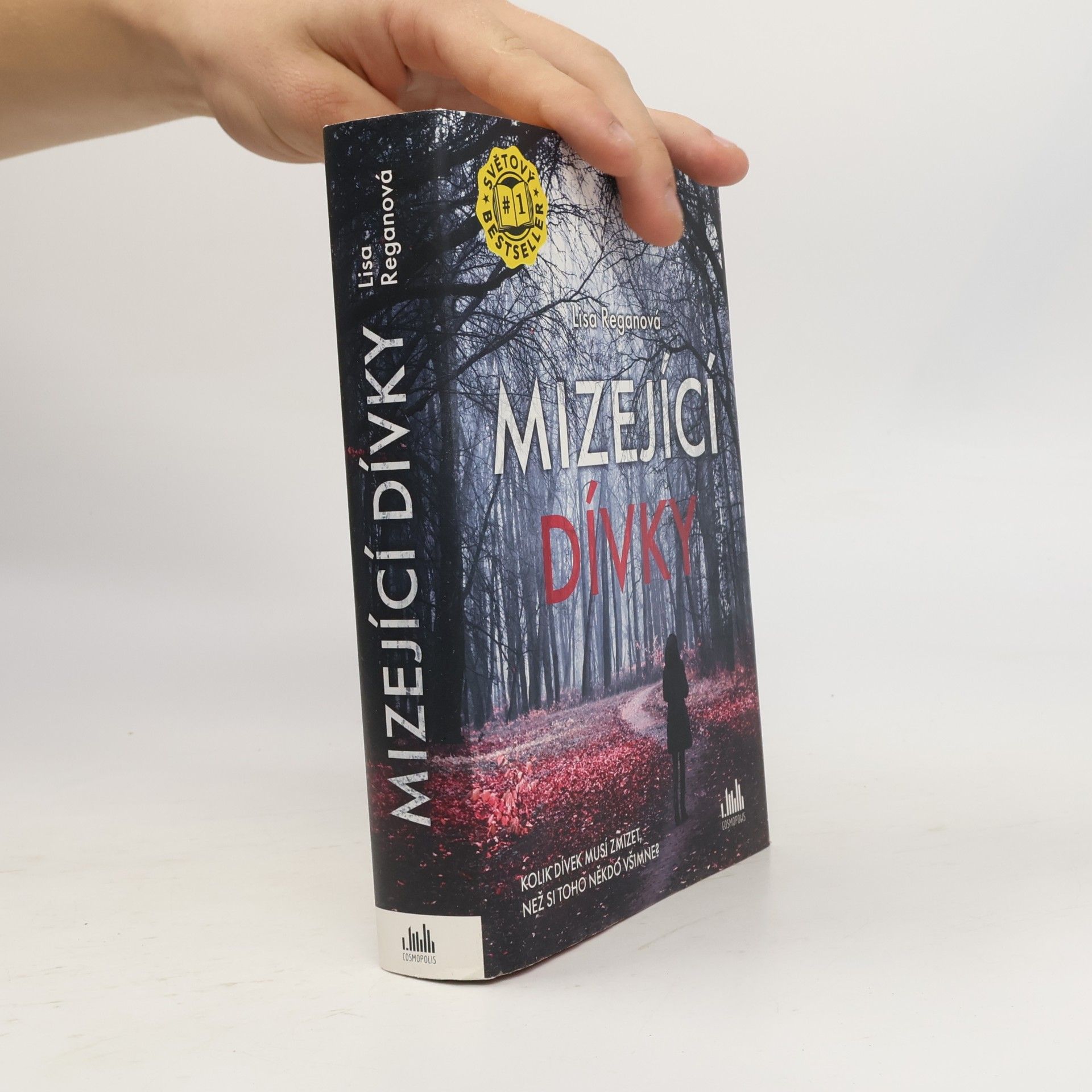 Lisa Regan Mizející dívky